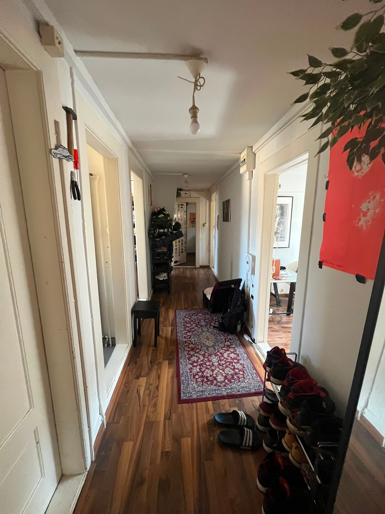 Room in a shared flat