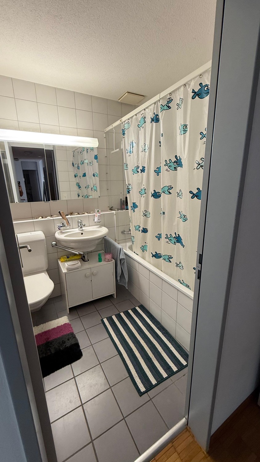 3 ½ rooms apartment