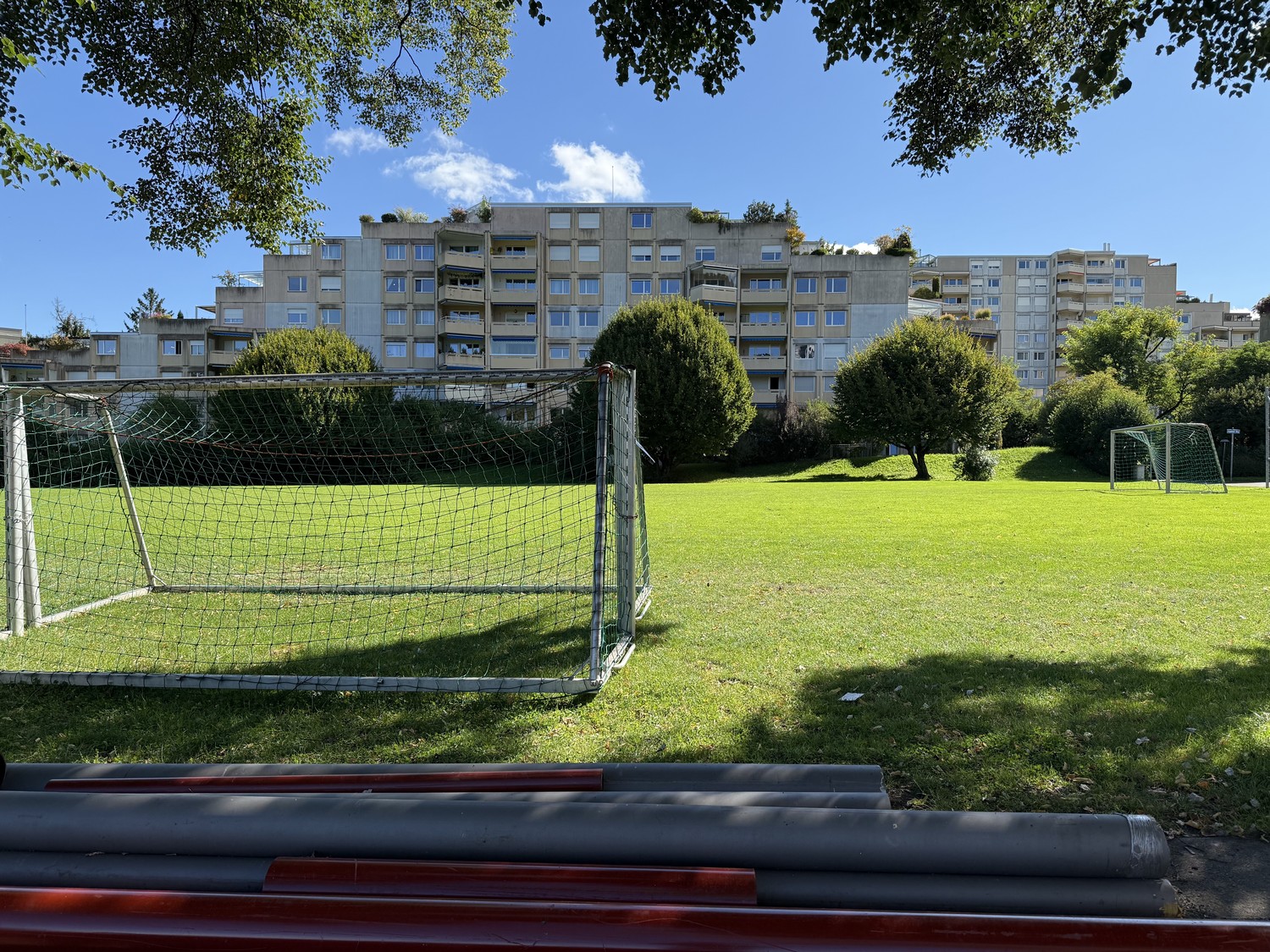 Camera in appartamento condiviso