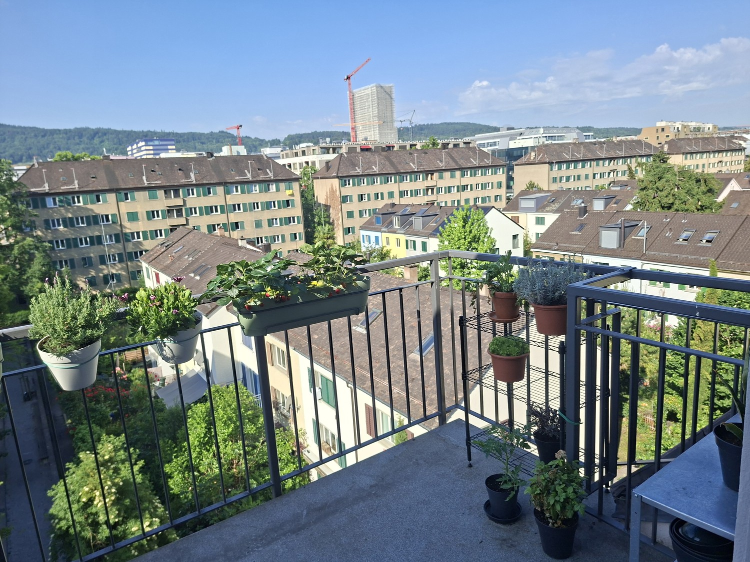 3 ½ rooms apartment