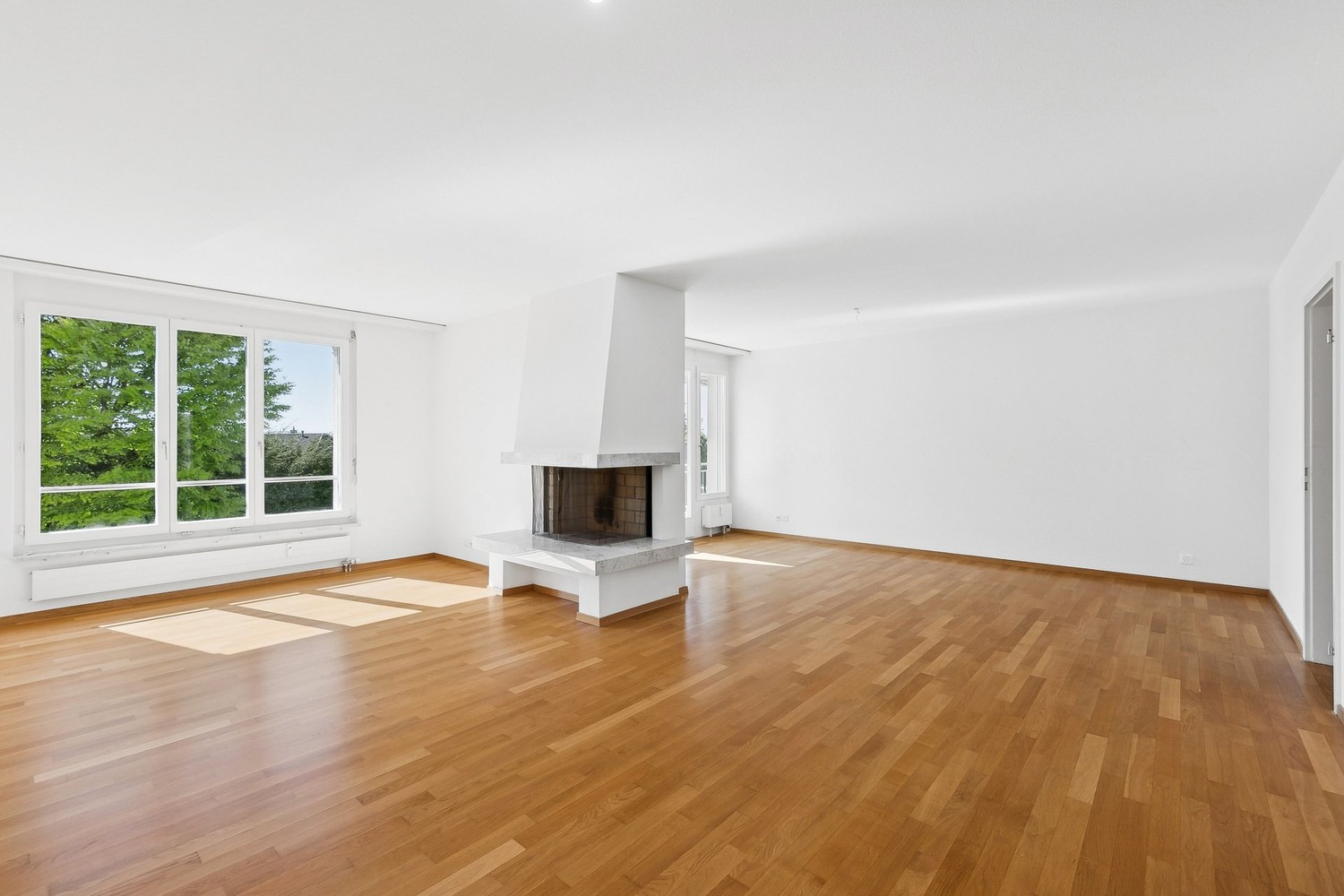 4 ½ rooms apartment