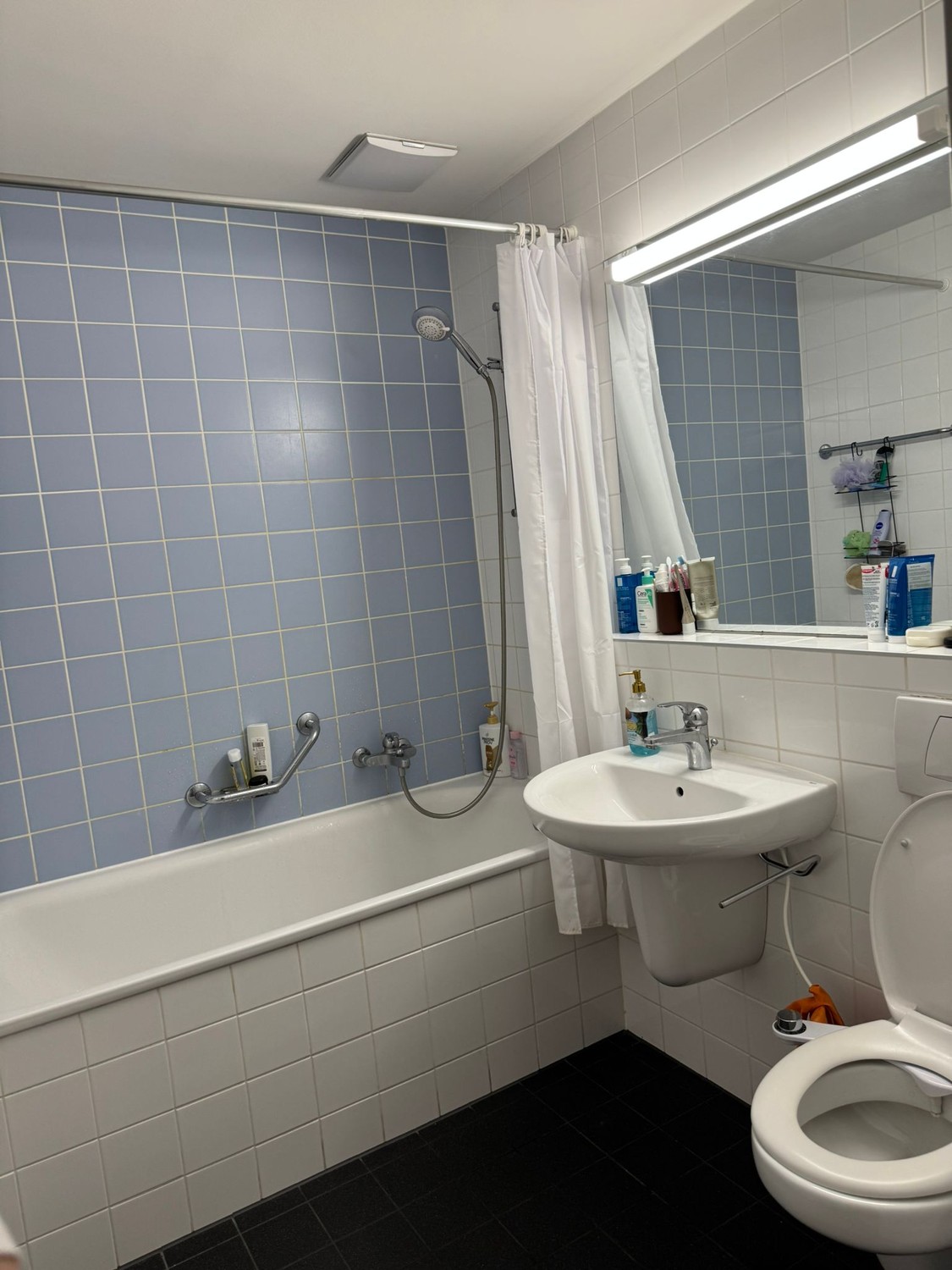 Glatttalstrasse 102, 8052 Zürich - CHF 1200 incl. utilities per month