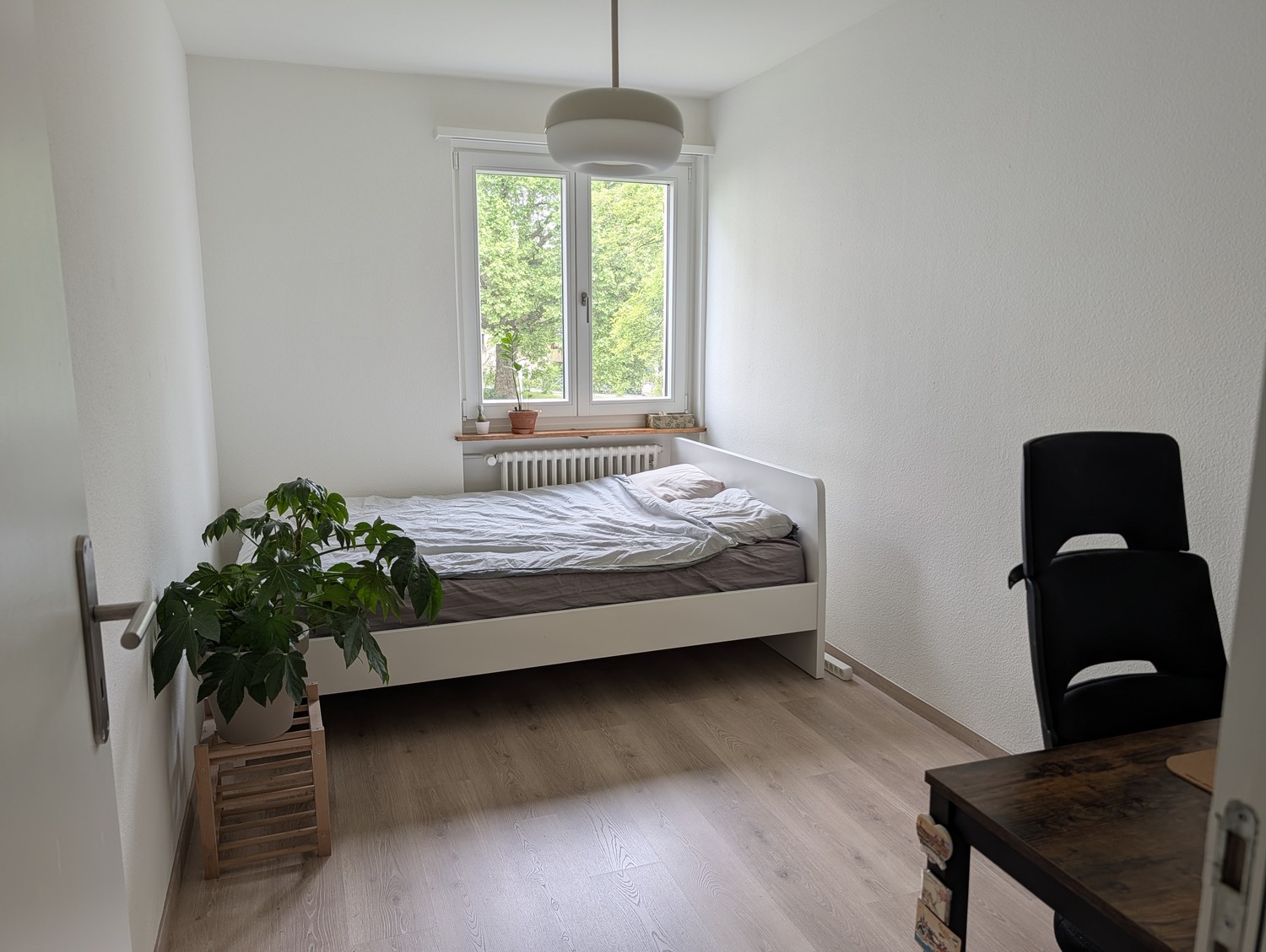 Room in a shared flat