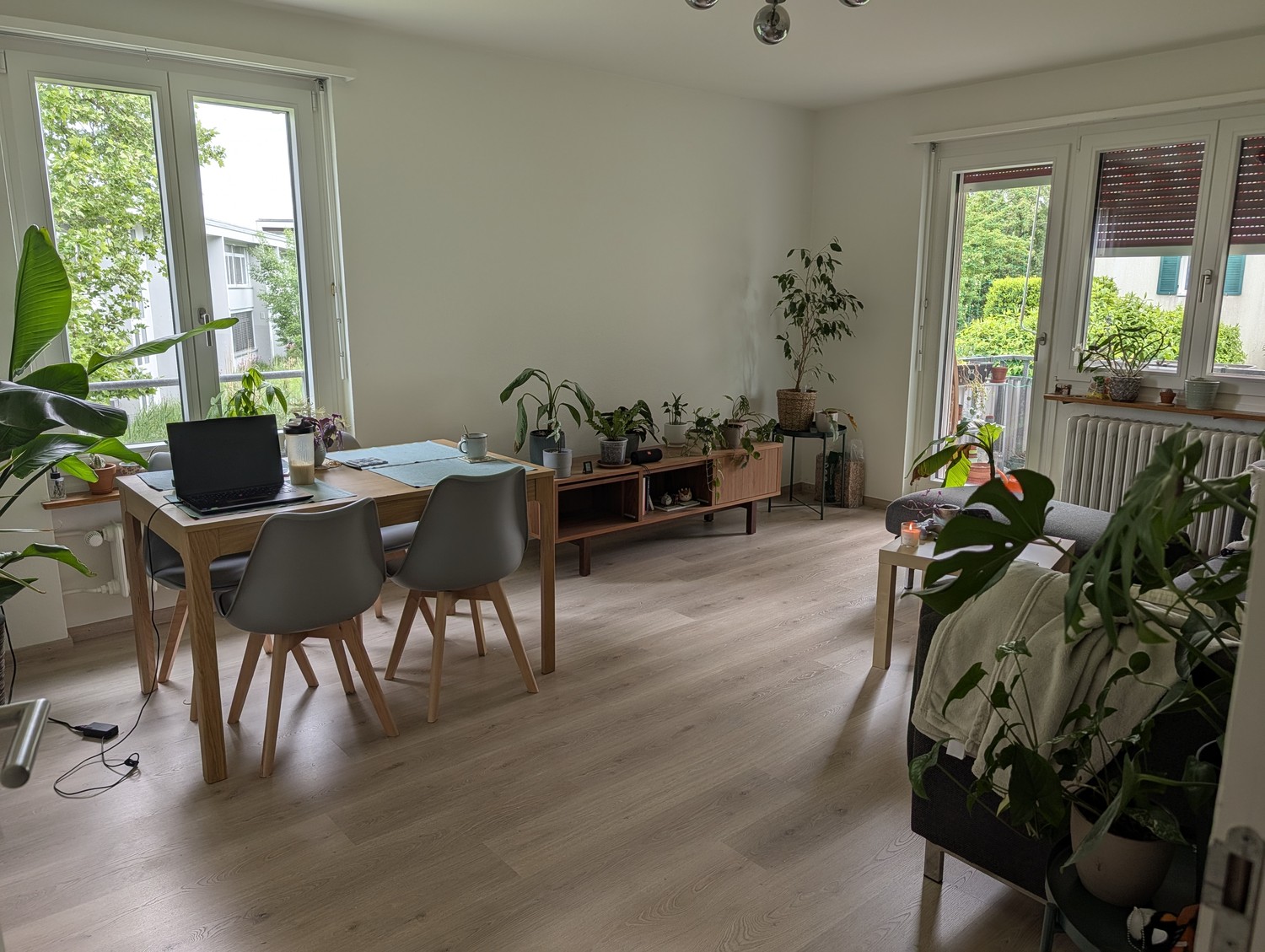 Room in a shared flat