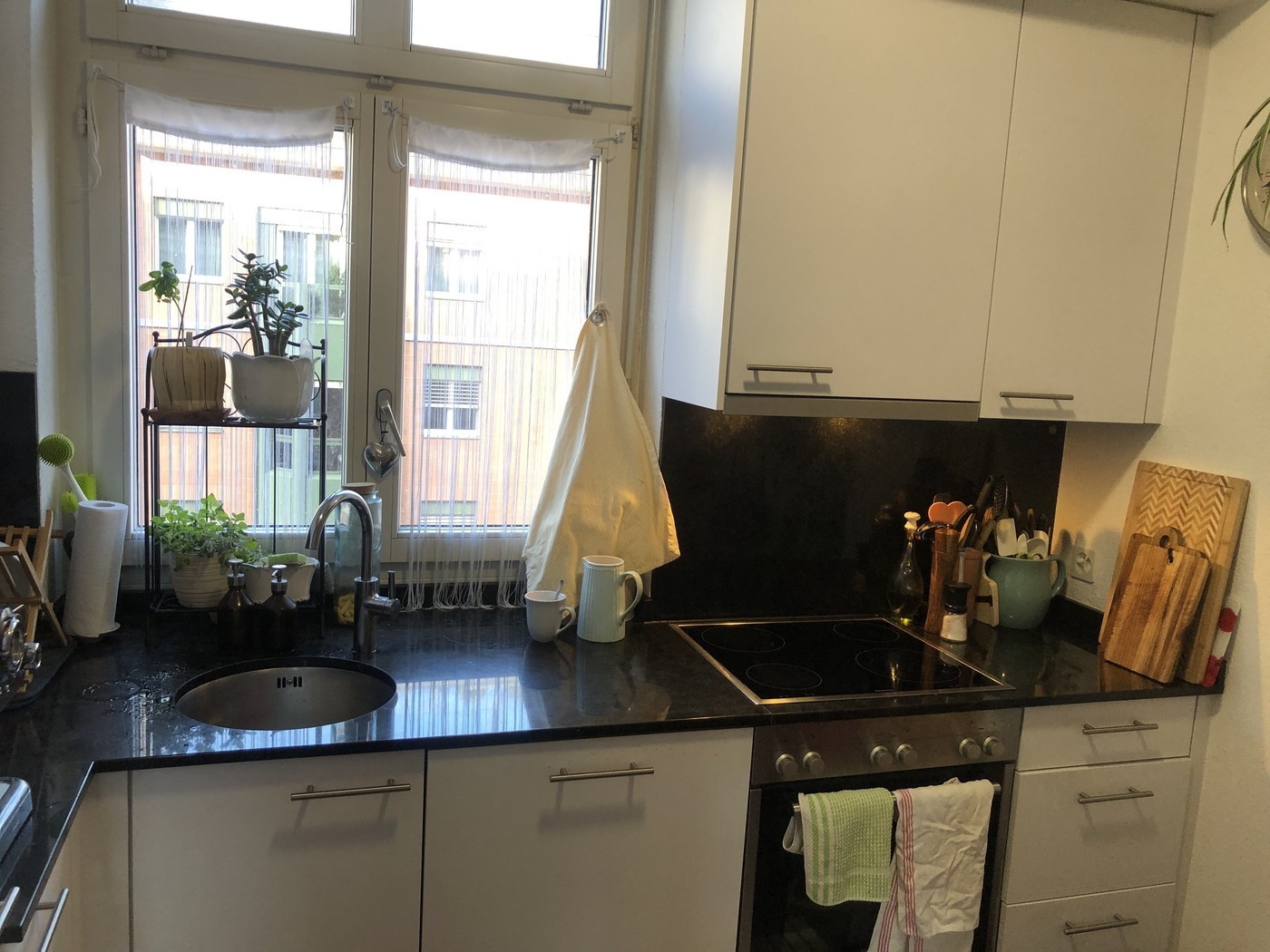 Room in a shared flat