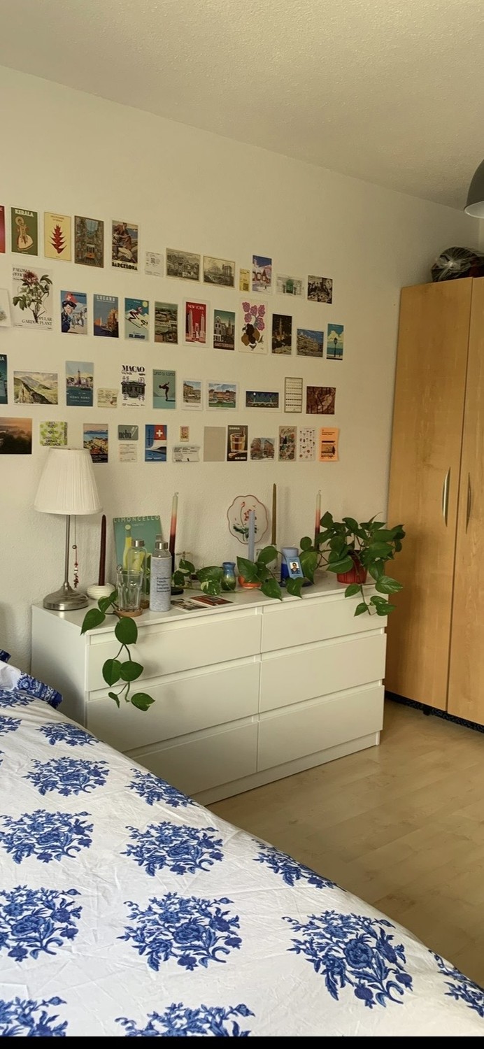 Room in a shared flat