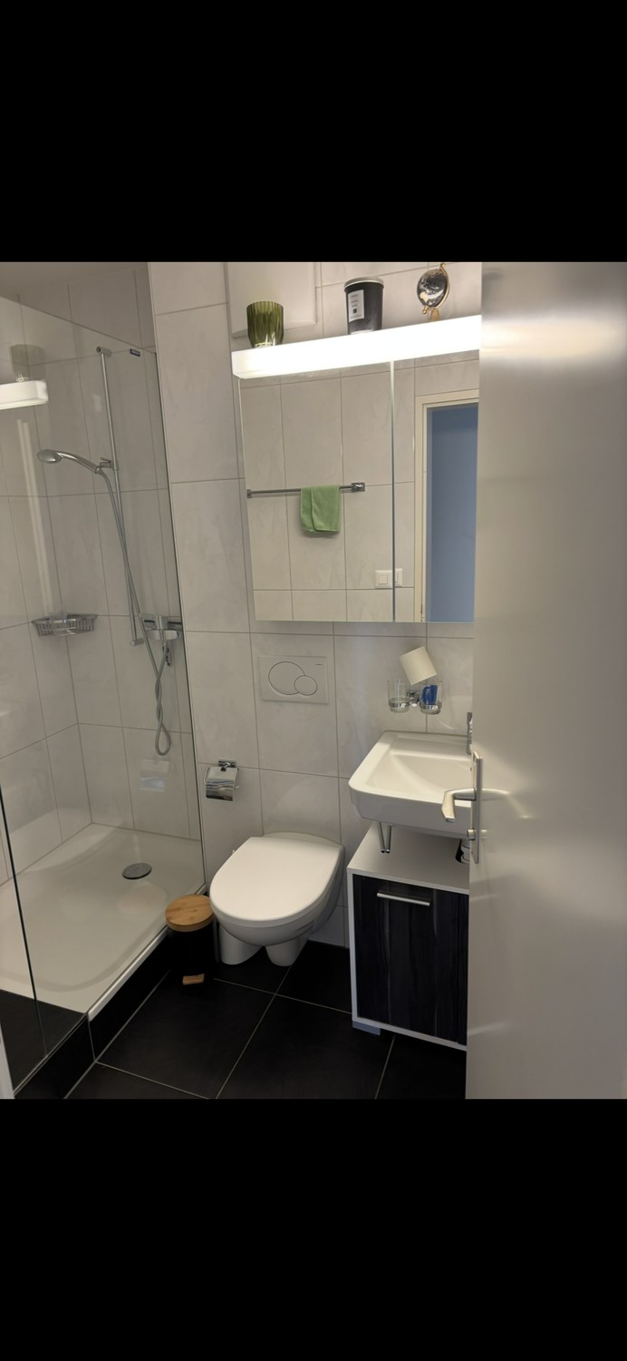 Room in a shared flat