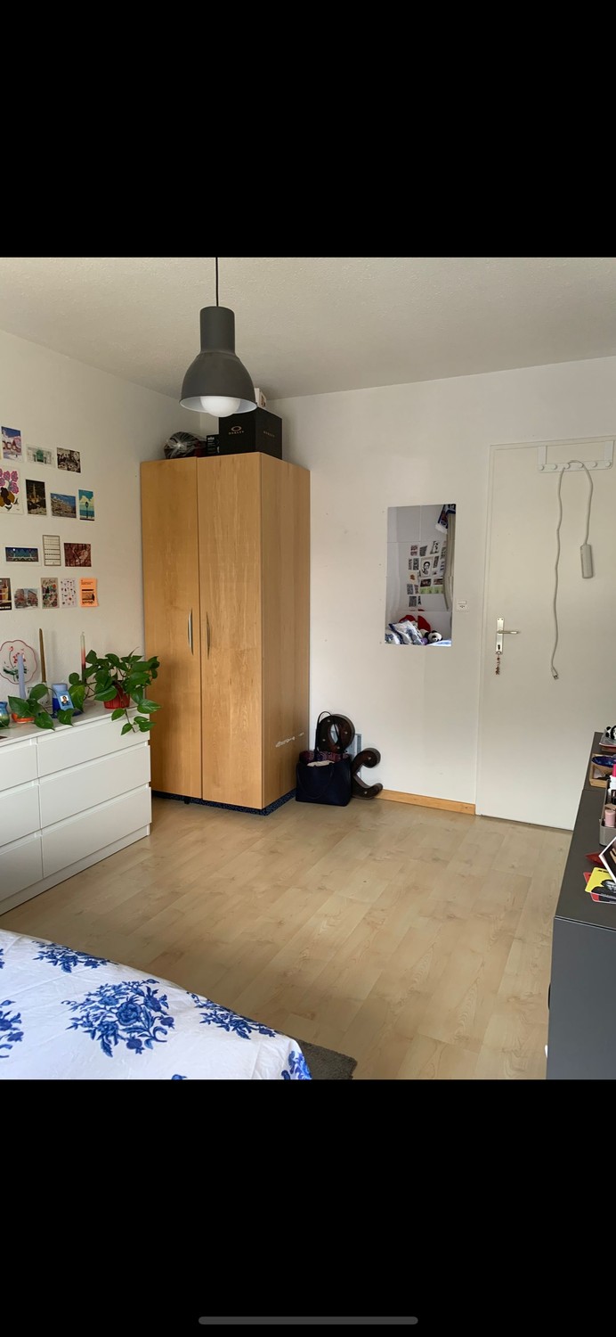 Room in a shared flat