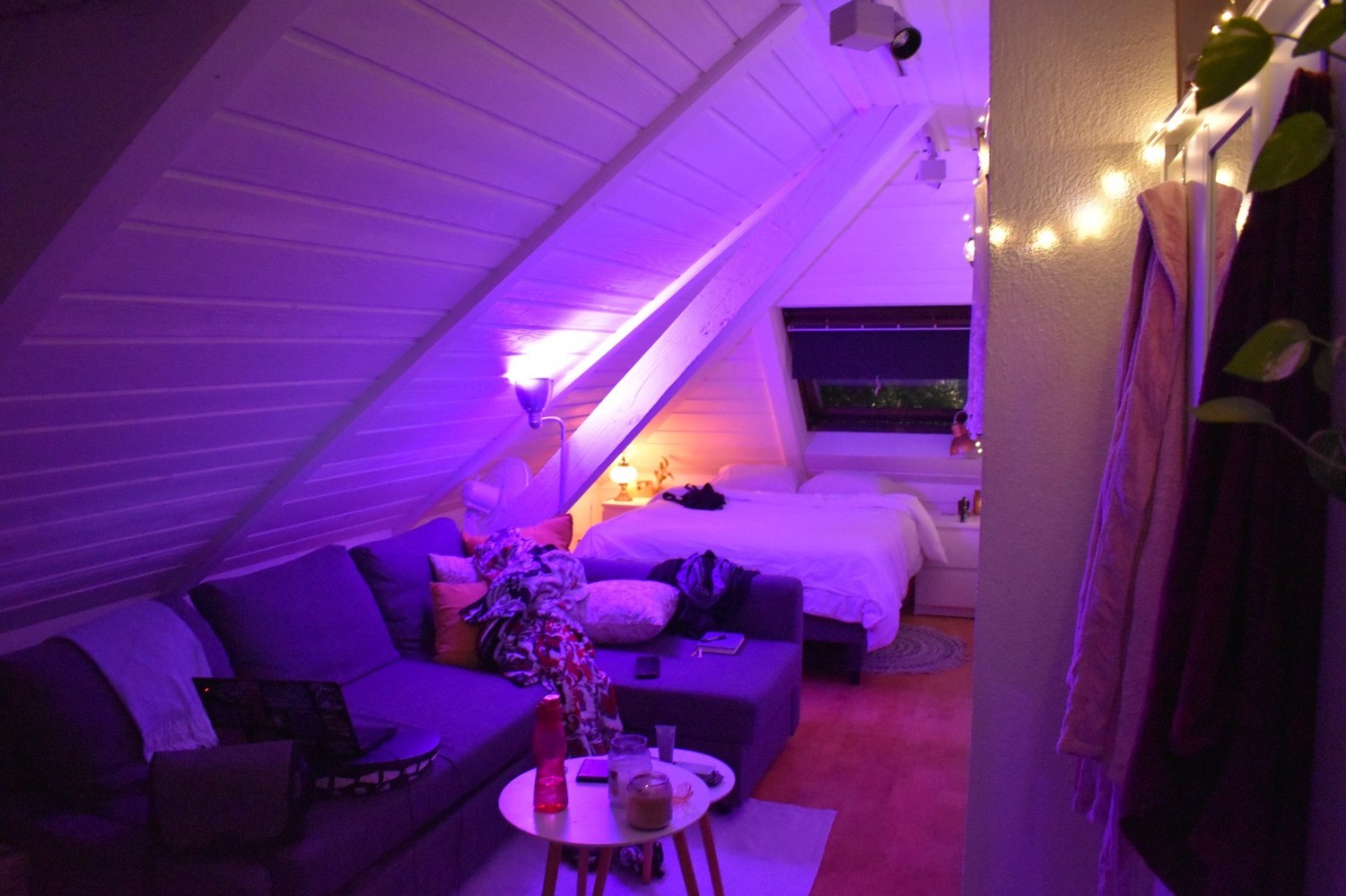 Room in a shared flat