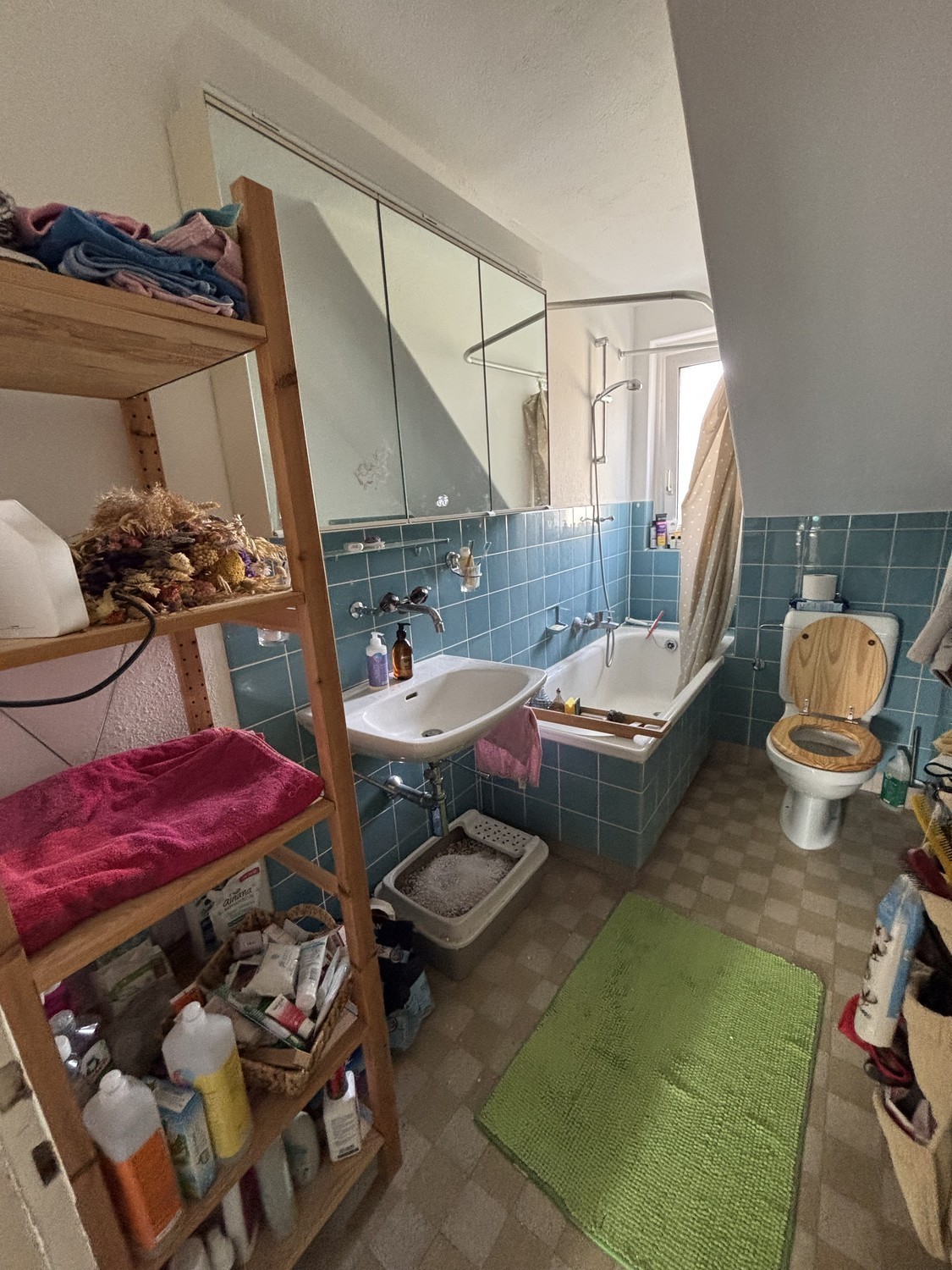 Room in a shared flat