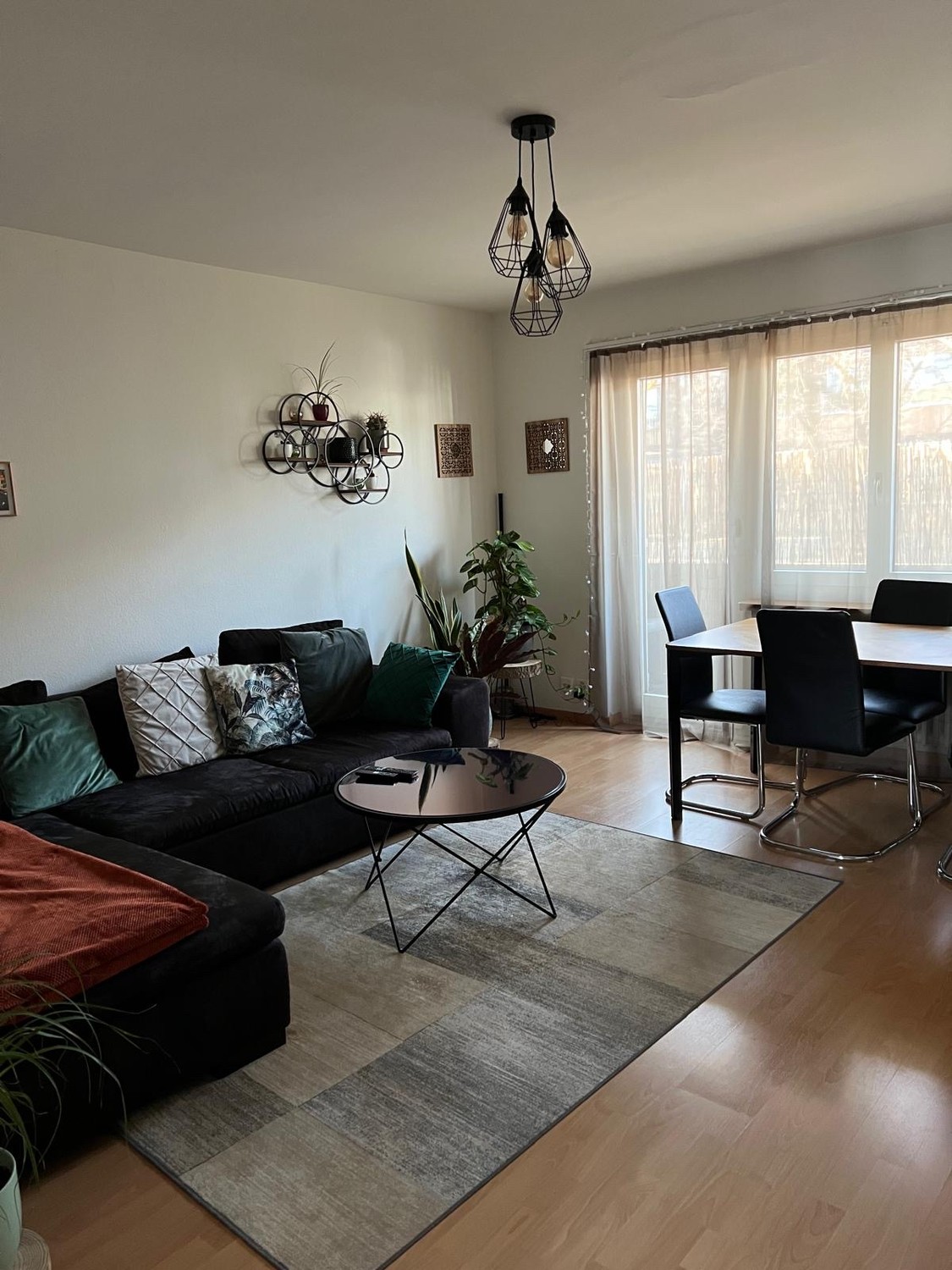Room in a shared flat