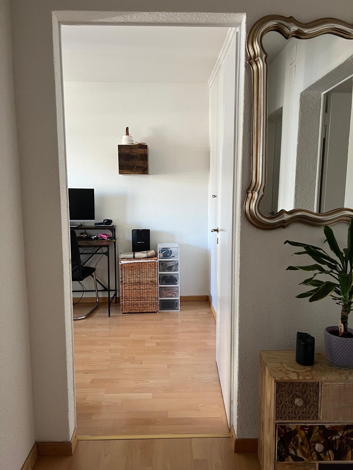 Room in a shared flat