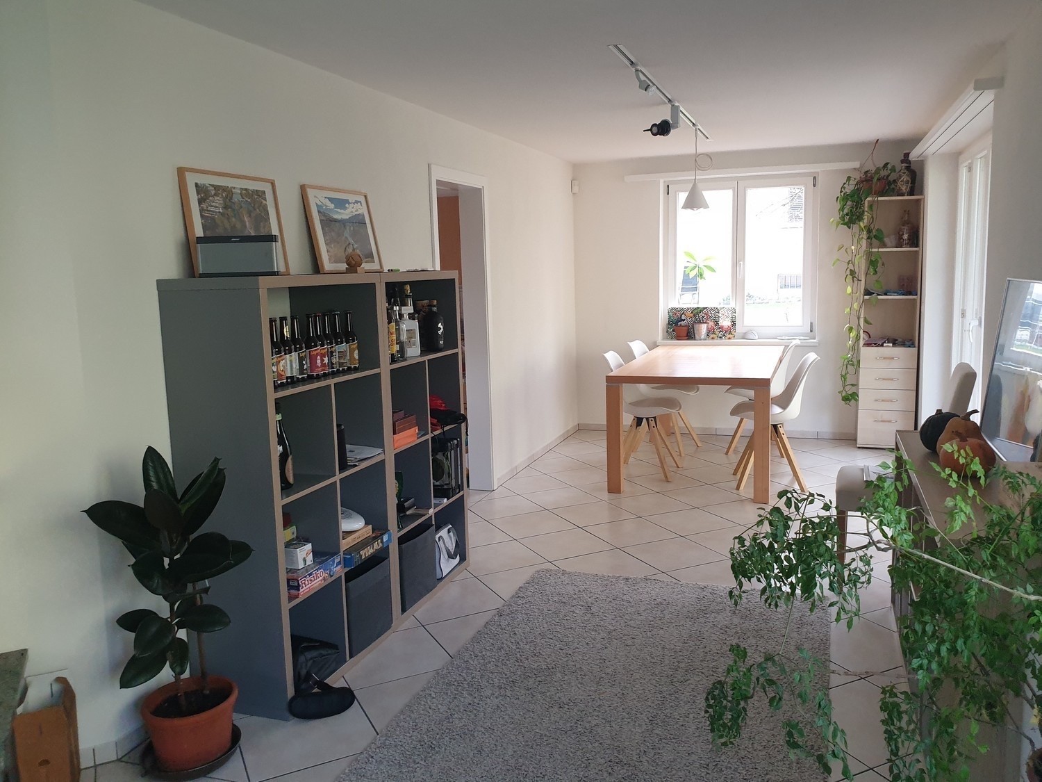 Room in a shared flat