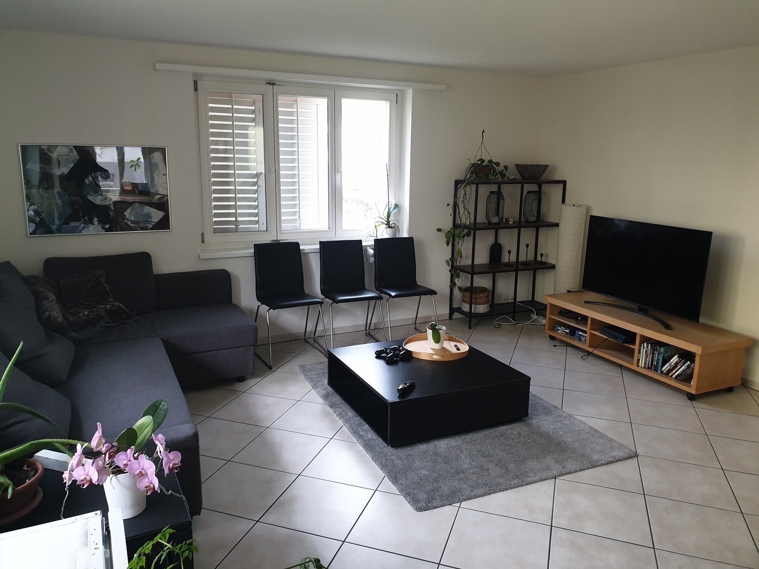Room in a shared flat
