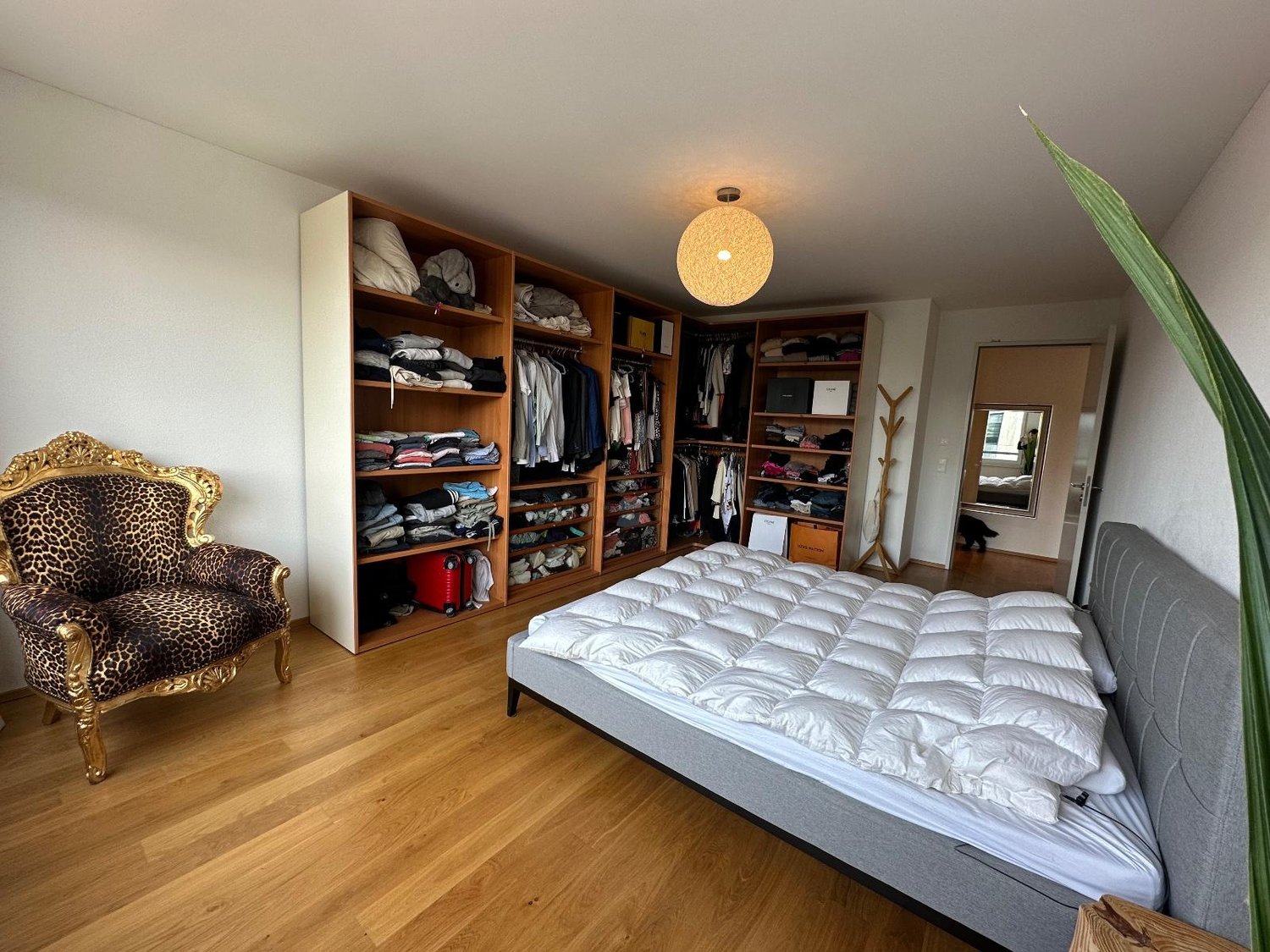 Room in a shared flat