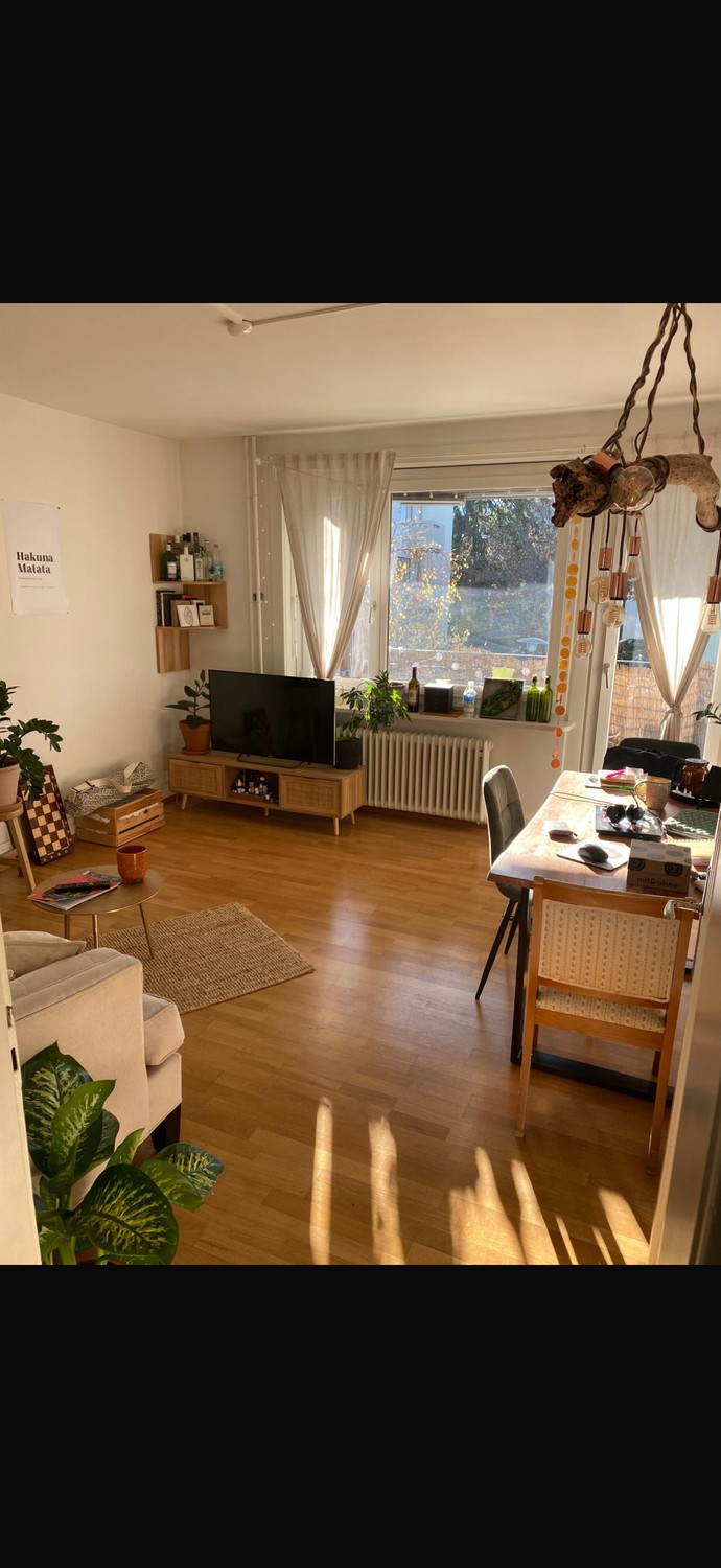 Room in a shared flat
