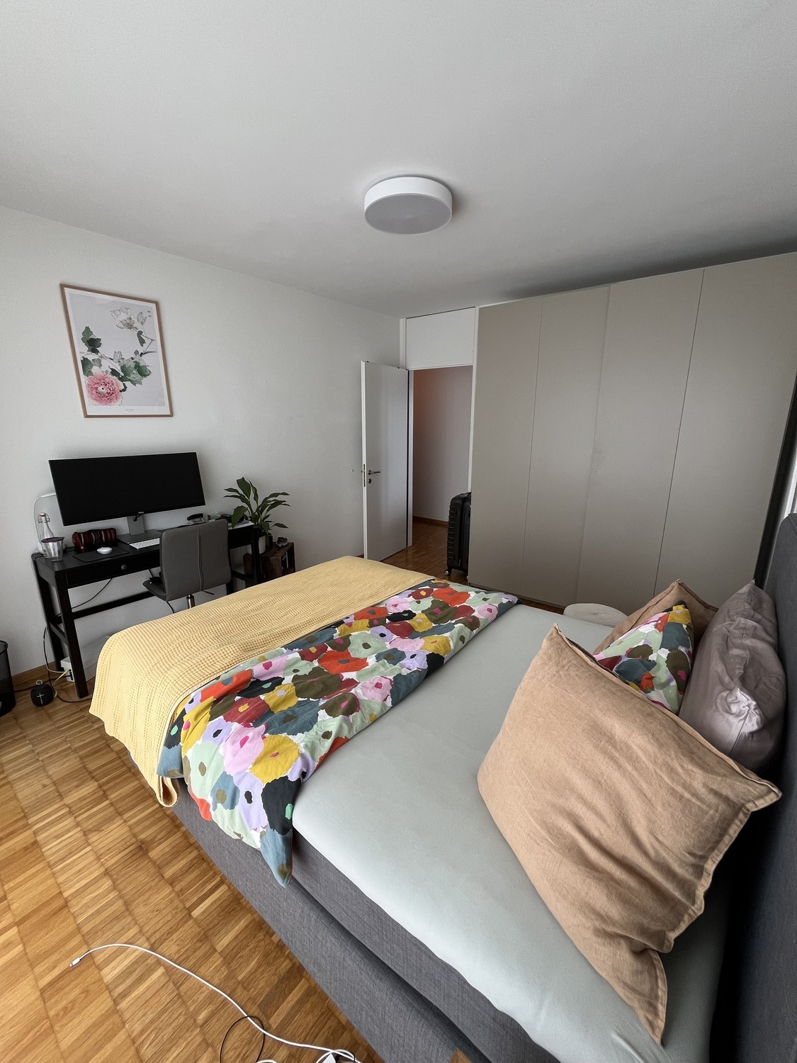 Room in a shared flat
