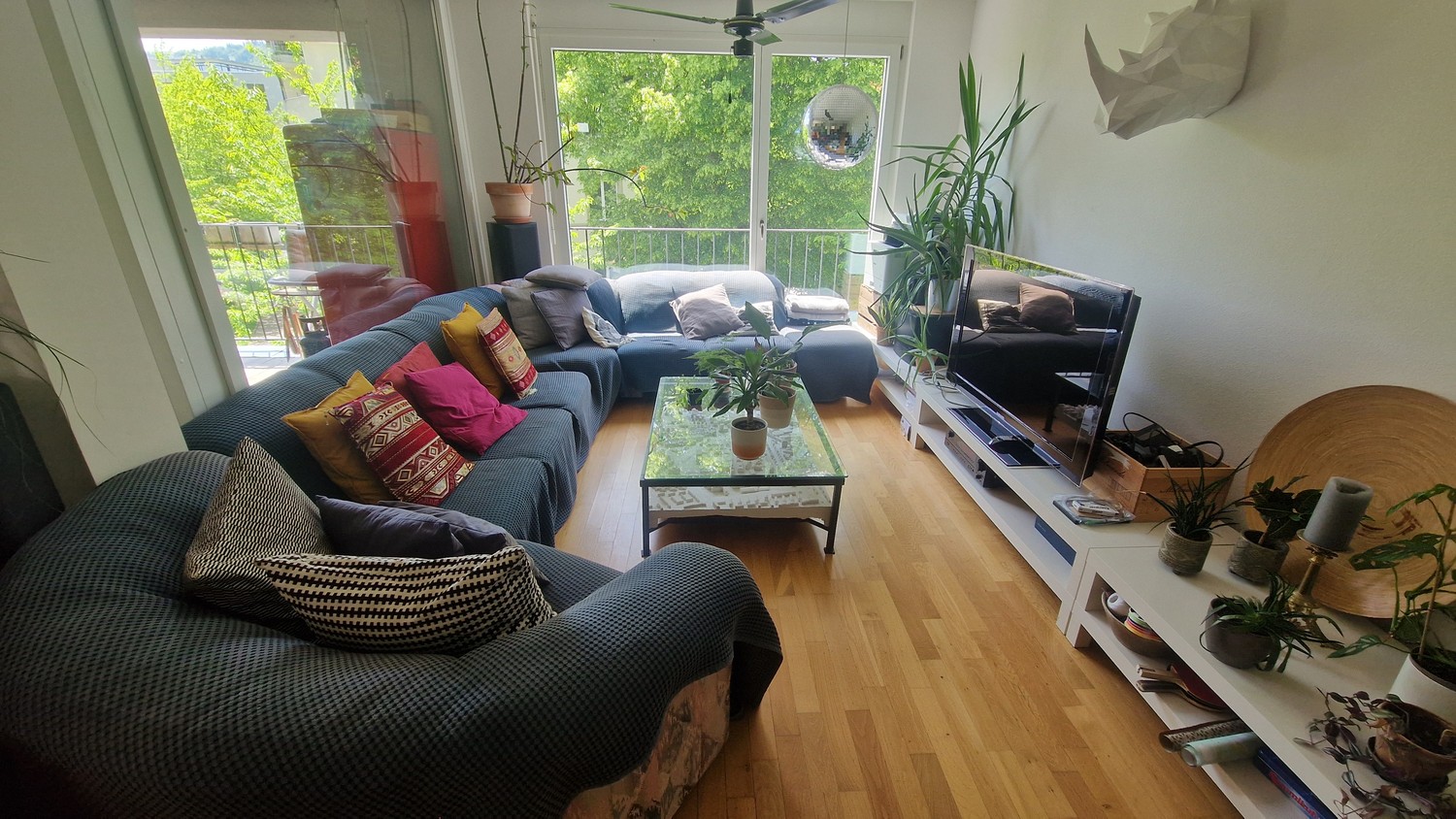 Room in a shared flat