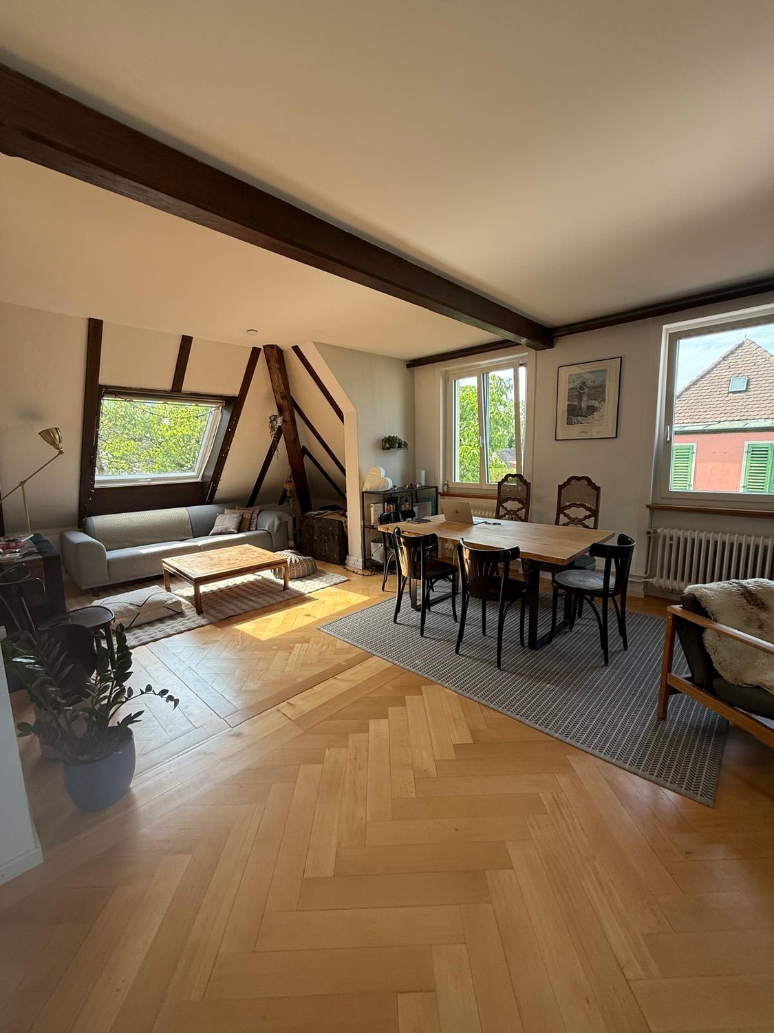 Room in a shared flat