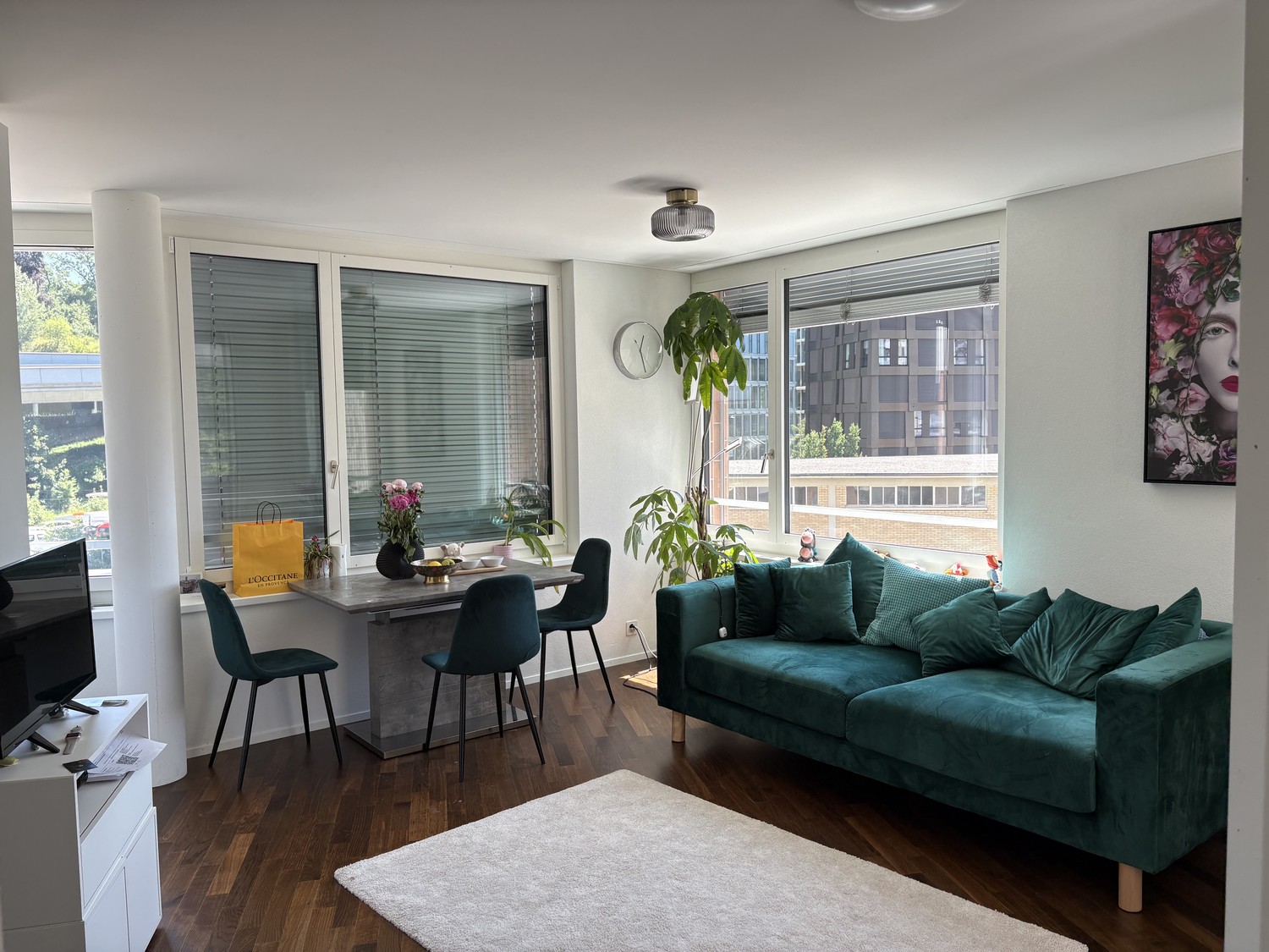 2 ½ rooms apartment
