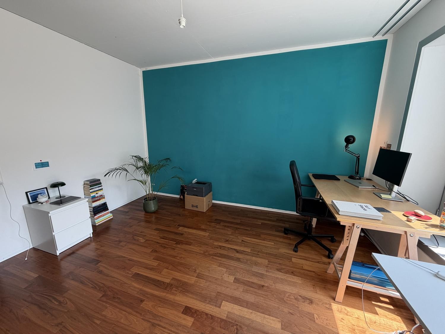Room in a shared flat