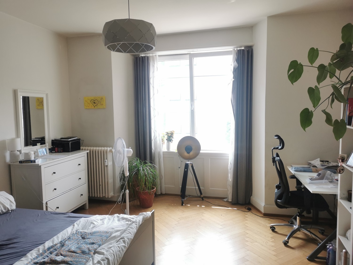 Room in a shared flat