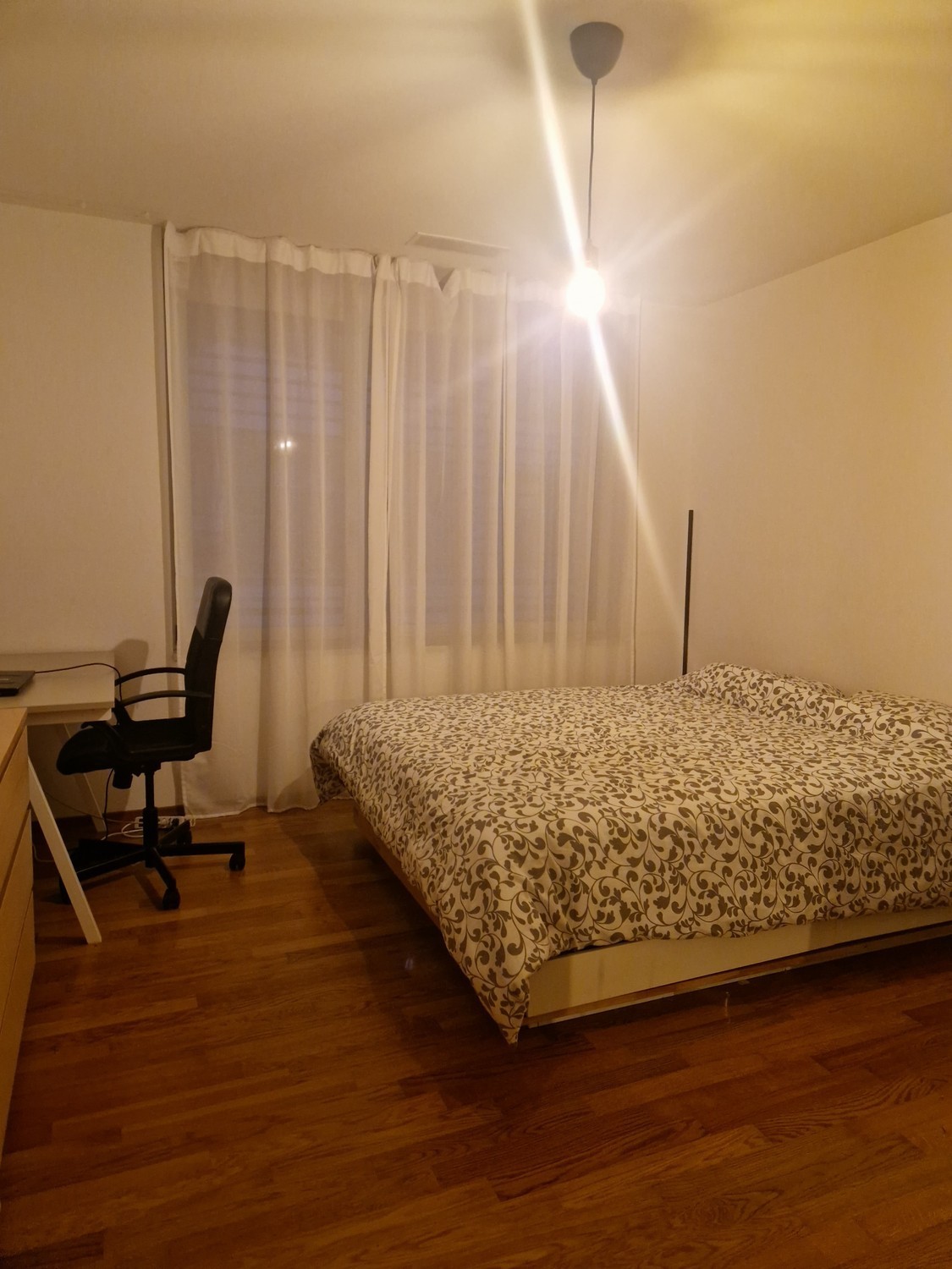 Room in a shared flat