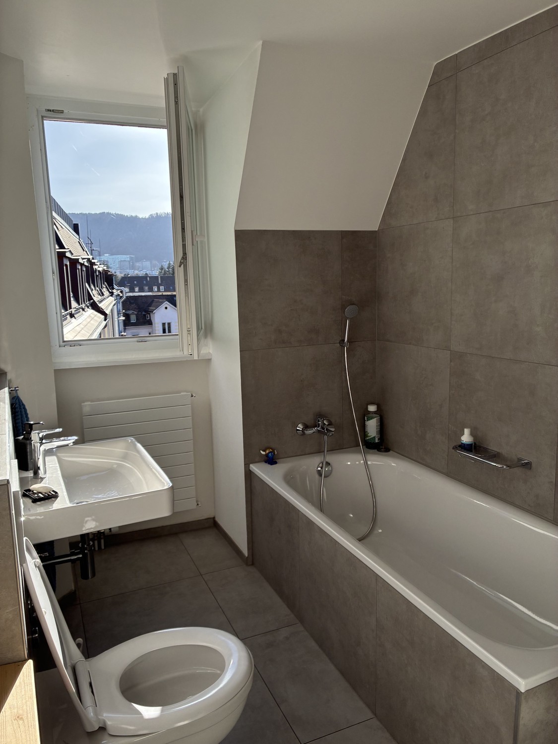 Room in a shared flat