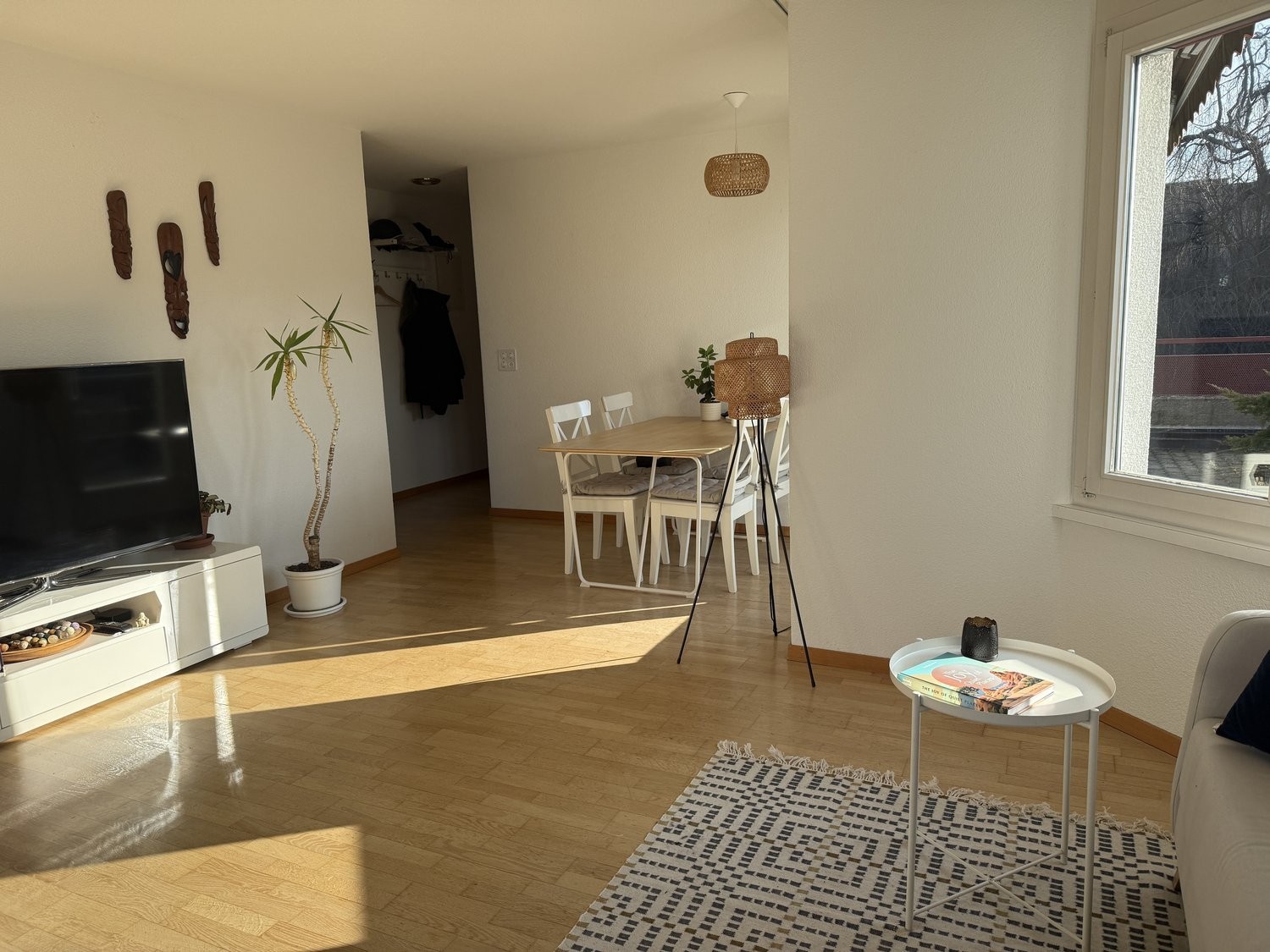 Appartamento arredato di 3 ½ locali