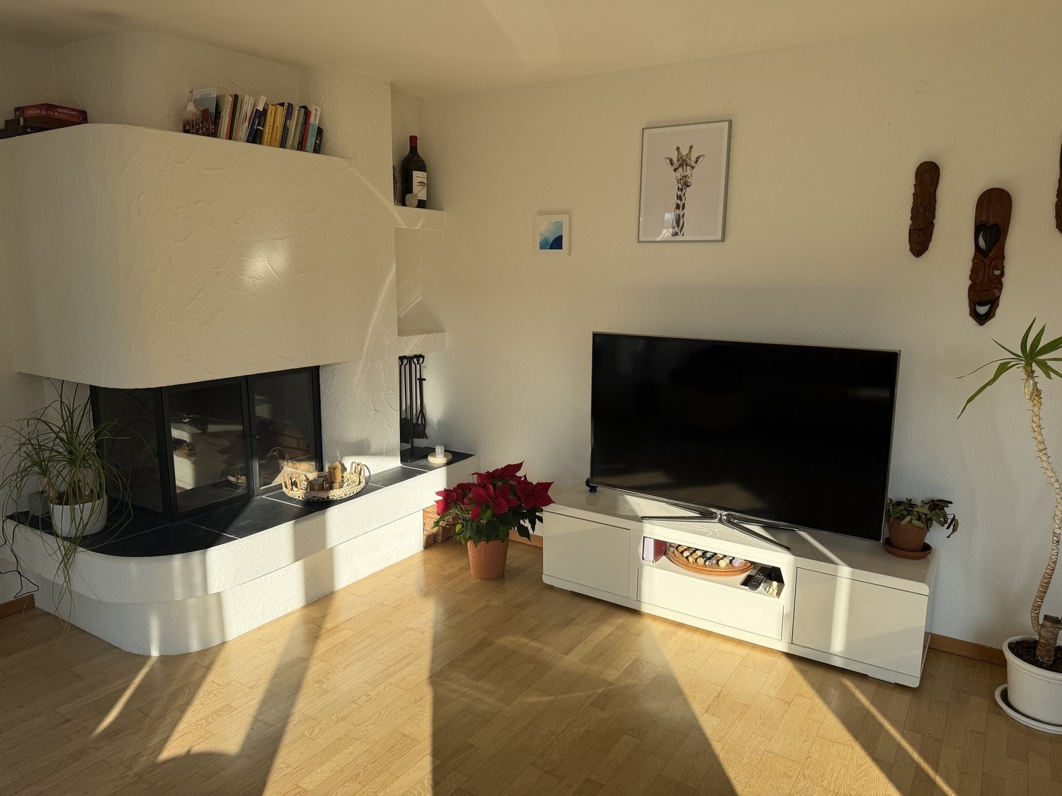 Appartamento arredato di 3 ½ locali