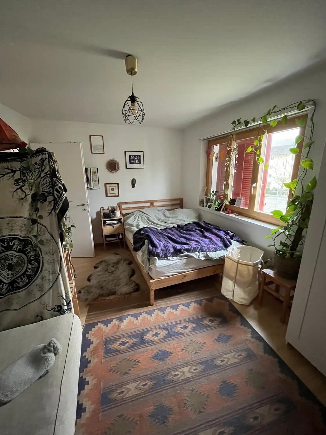 Room in a shared flat