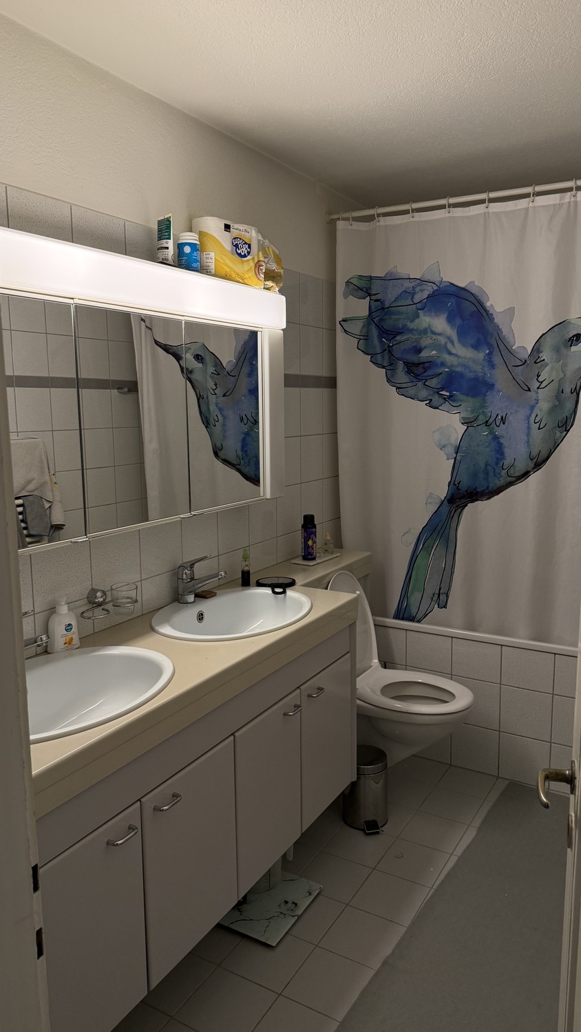 Room in a shared flat