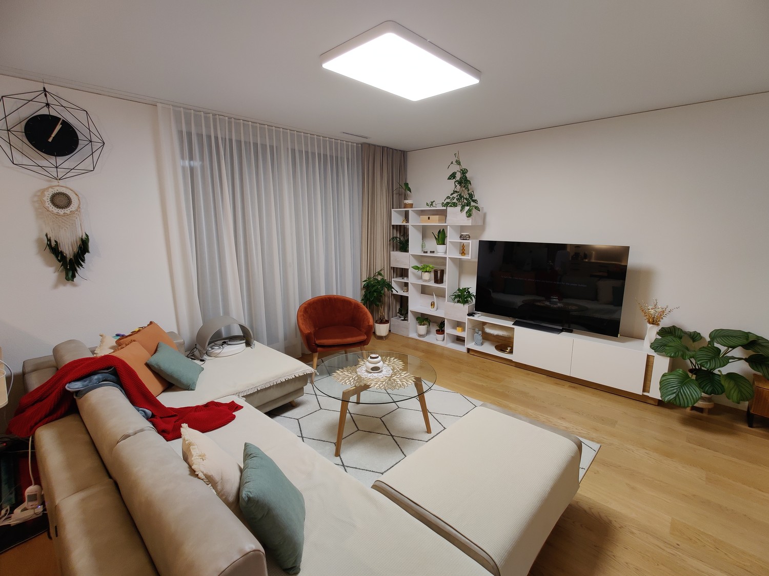 Room in a shared flat