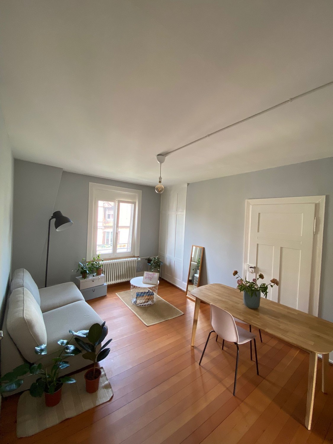 Room in a shared flat