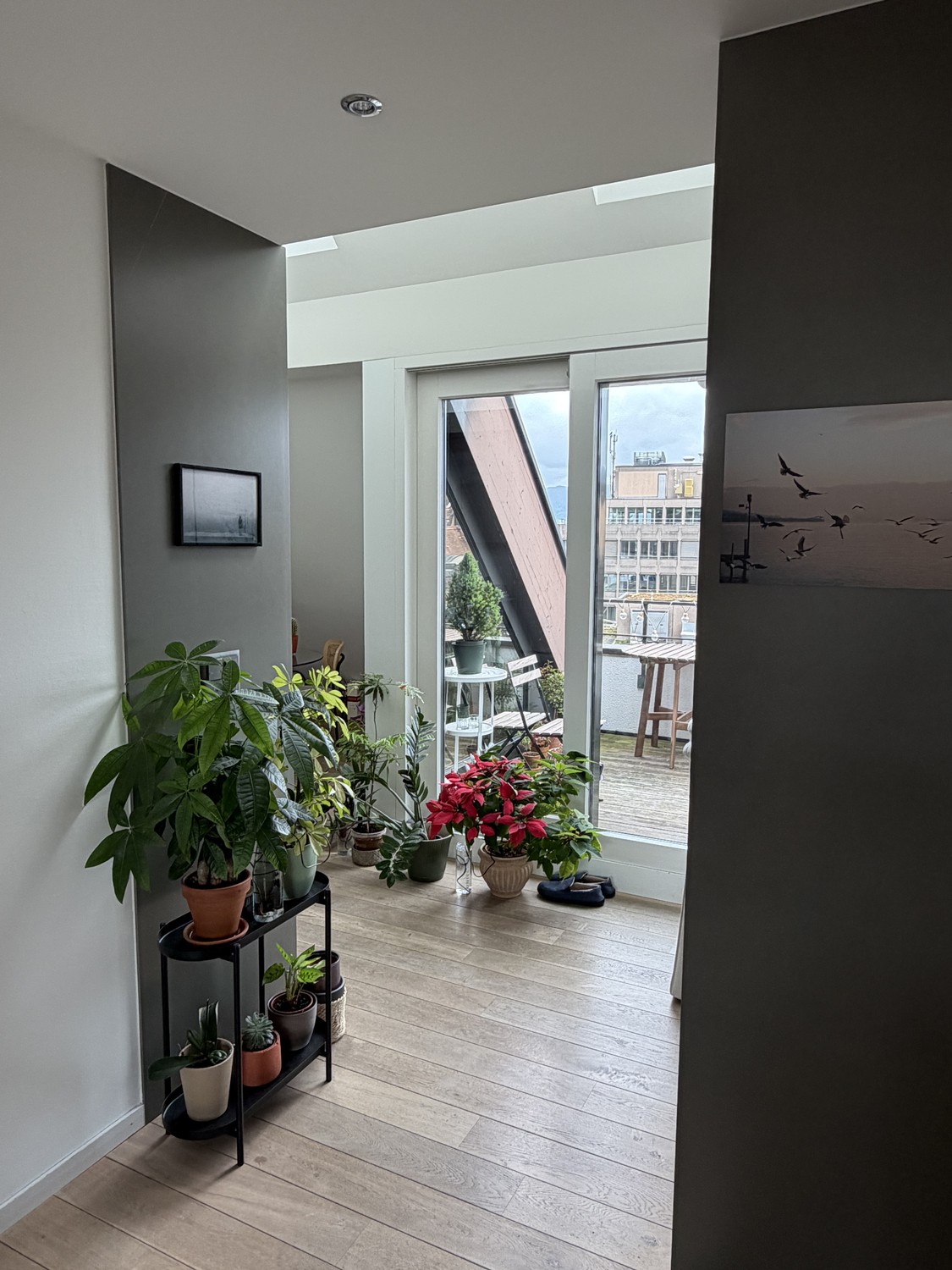 Appartamento di 2 ½ locali