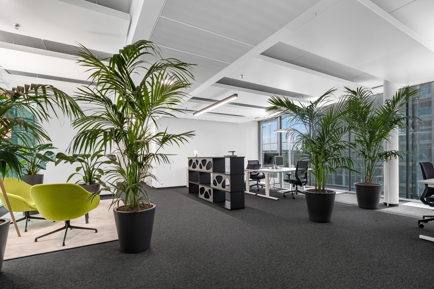 700m² office