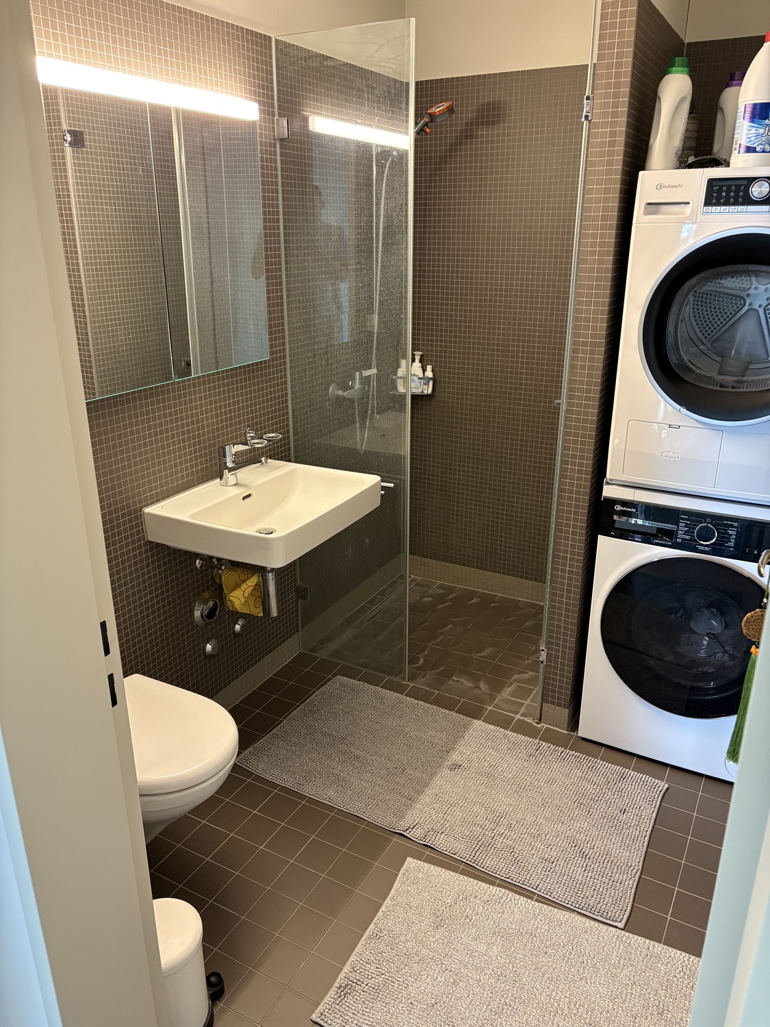 2 ½ Zimmer Wohnung