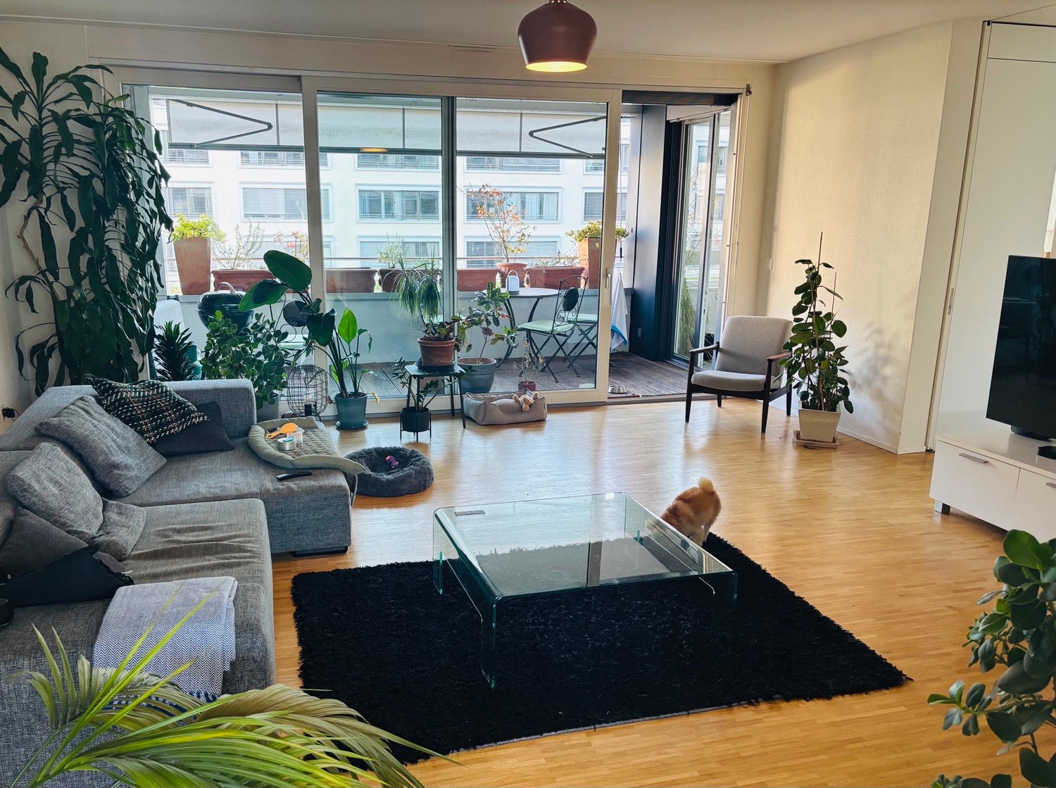 Room in a shared flat