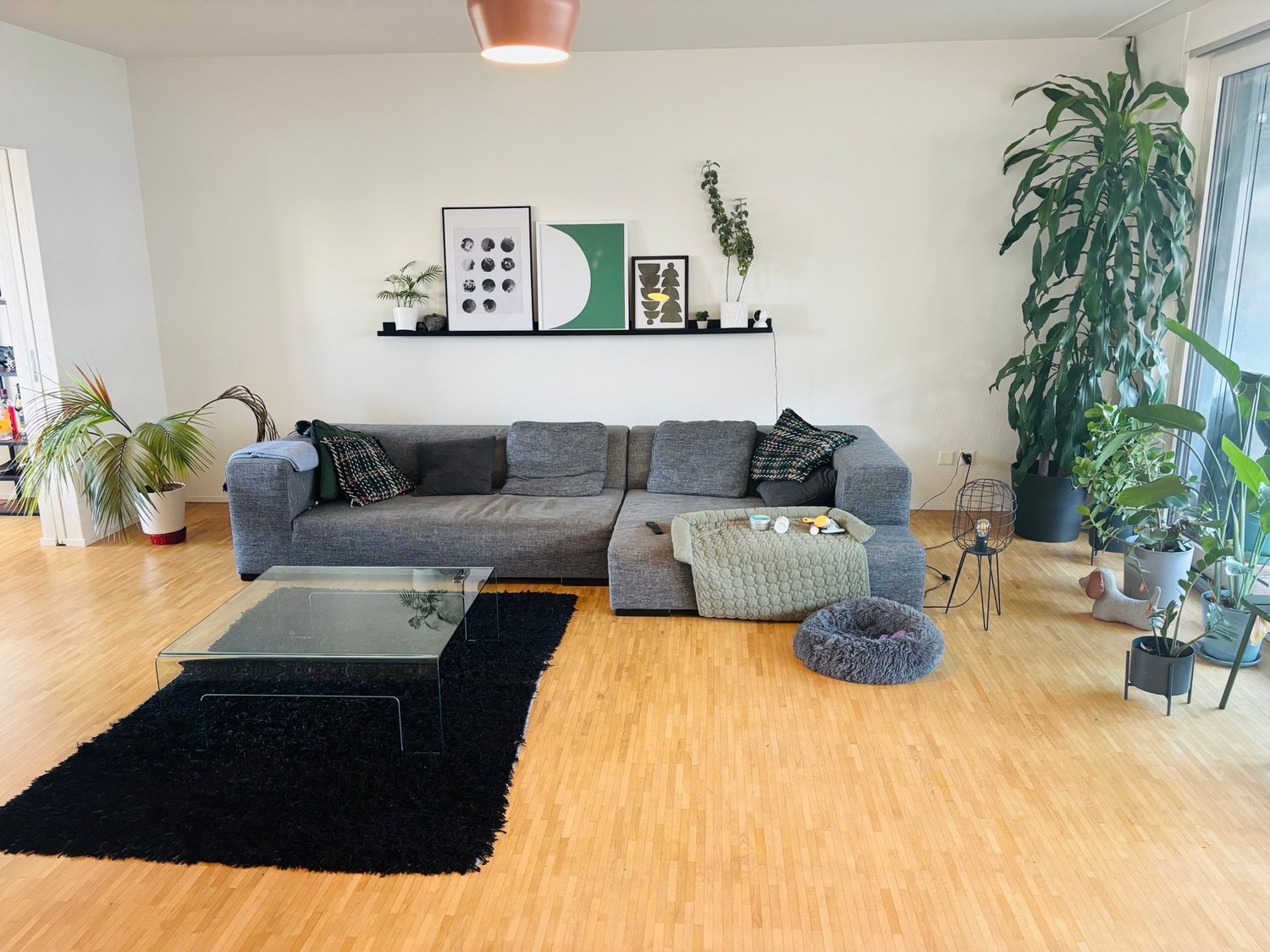 Room in a shared flat
