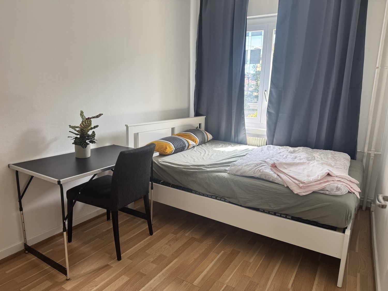 Room in a shared flat