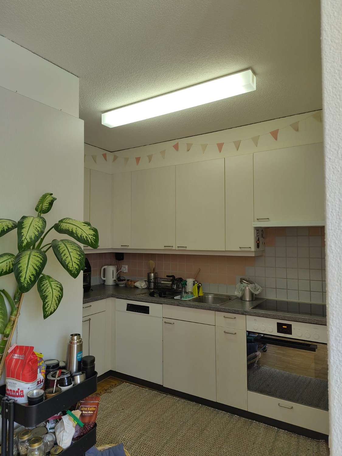 Room in a shared flat