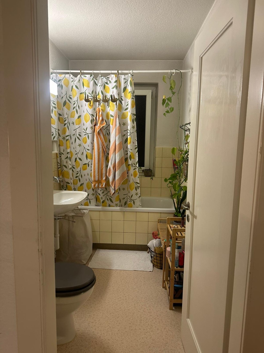 Room in a shared flat