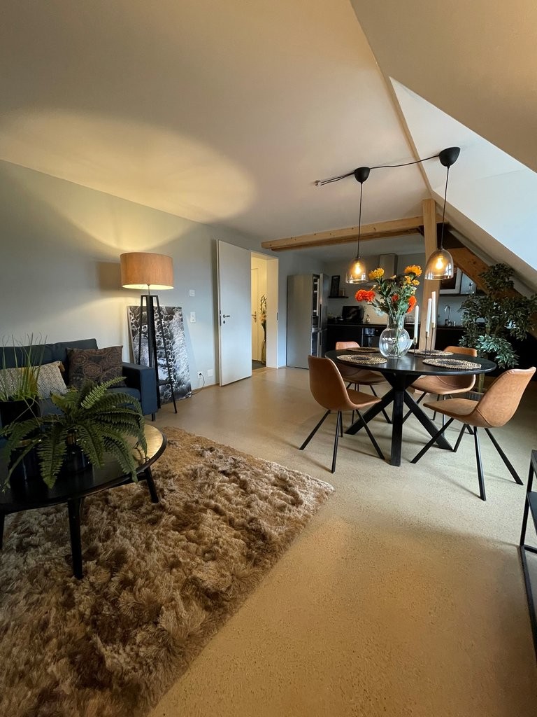 4 ½ rooms duplex