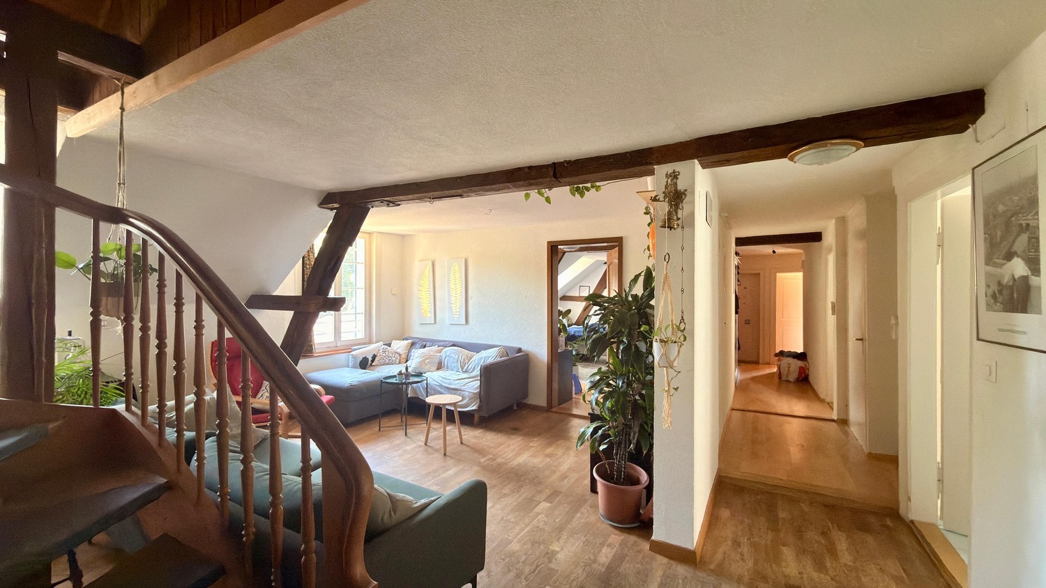 Room in a shared flat