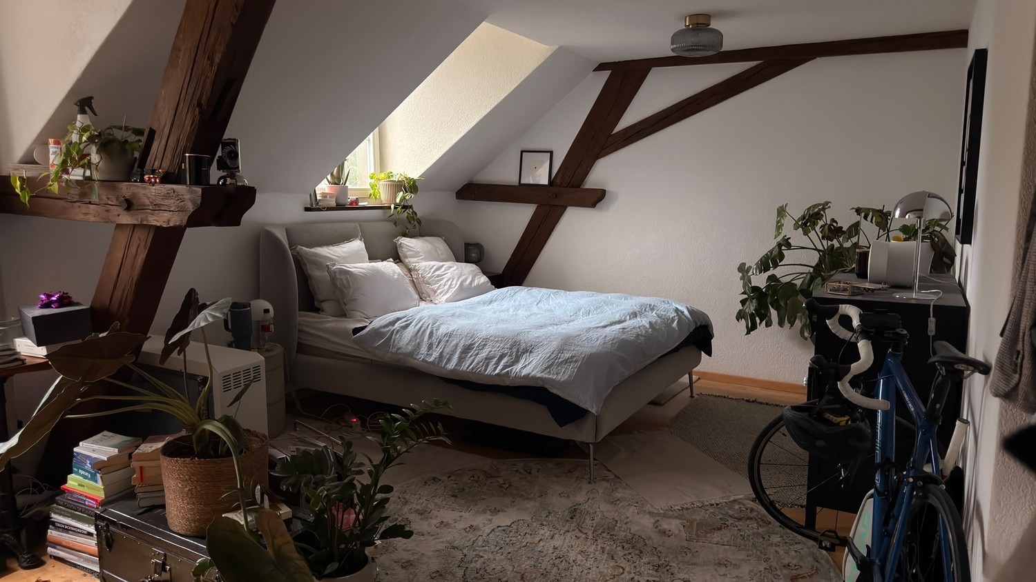 Room in a shared flat