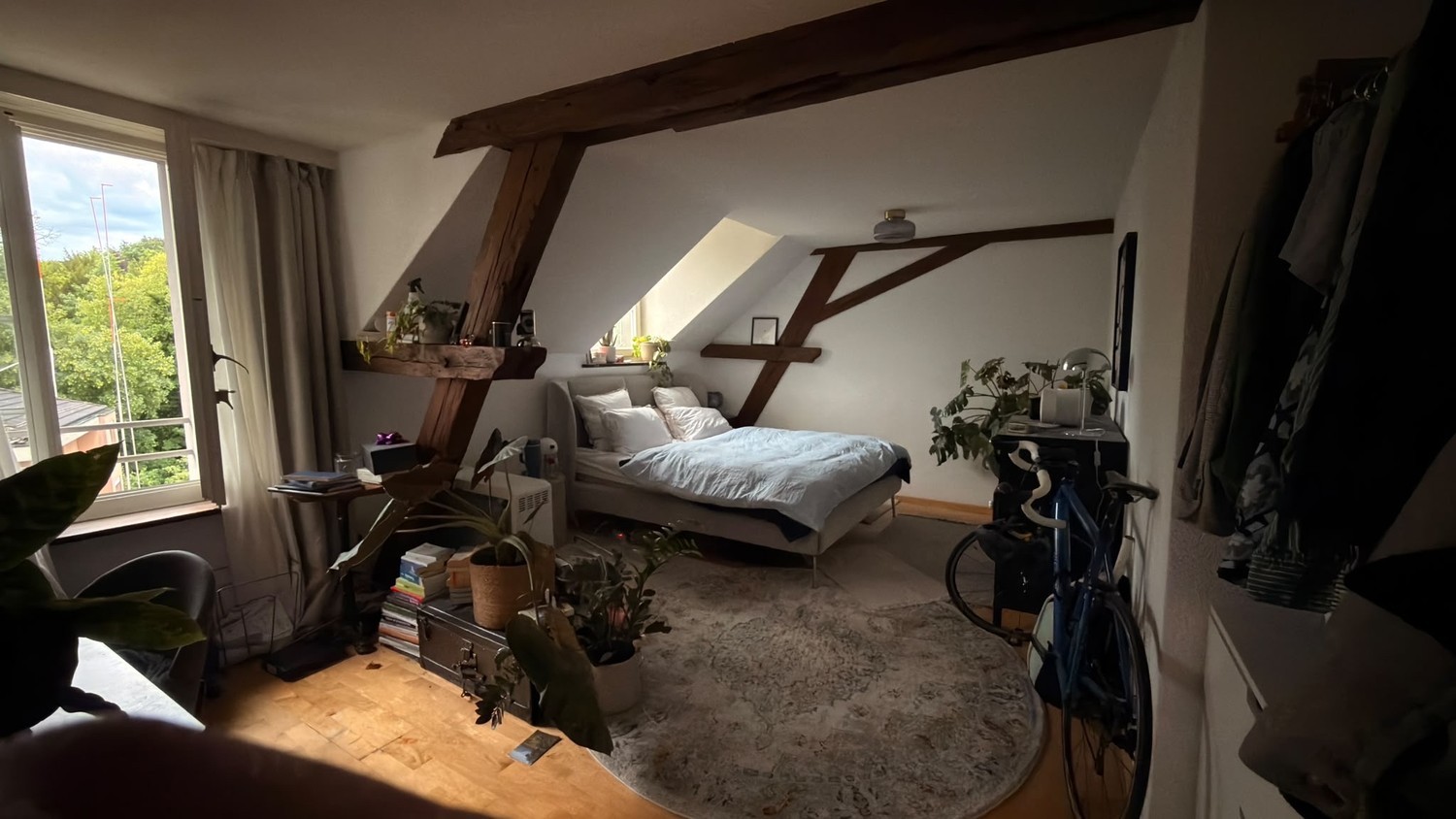 Room in a shared flat