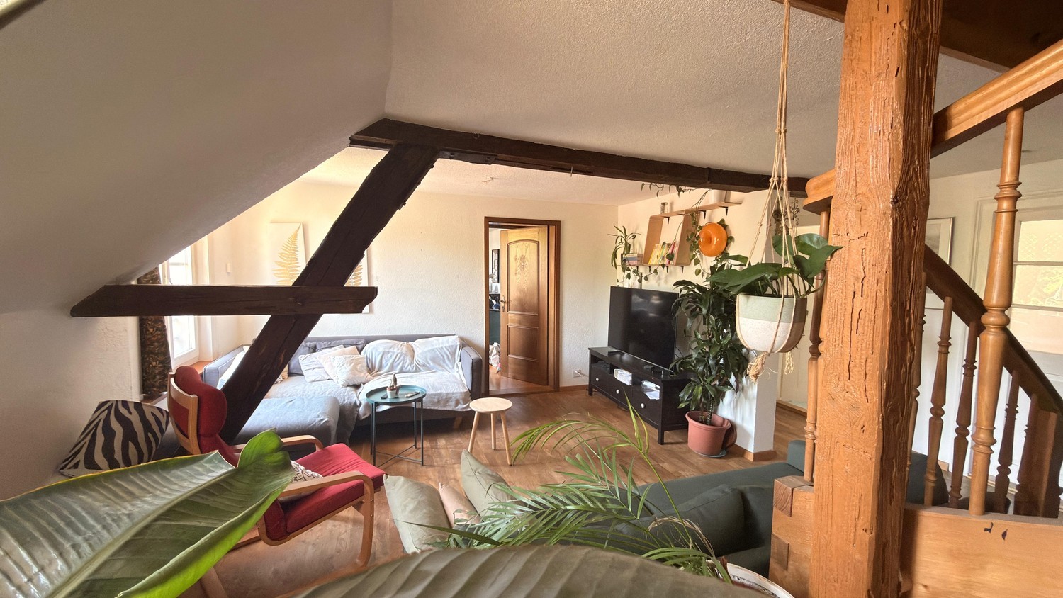 Room in a shared flat