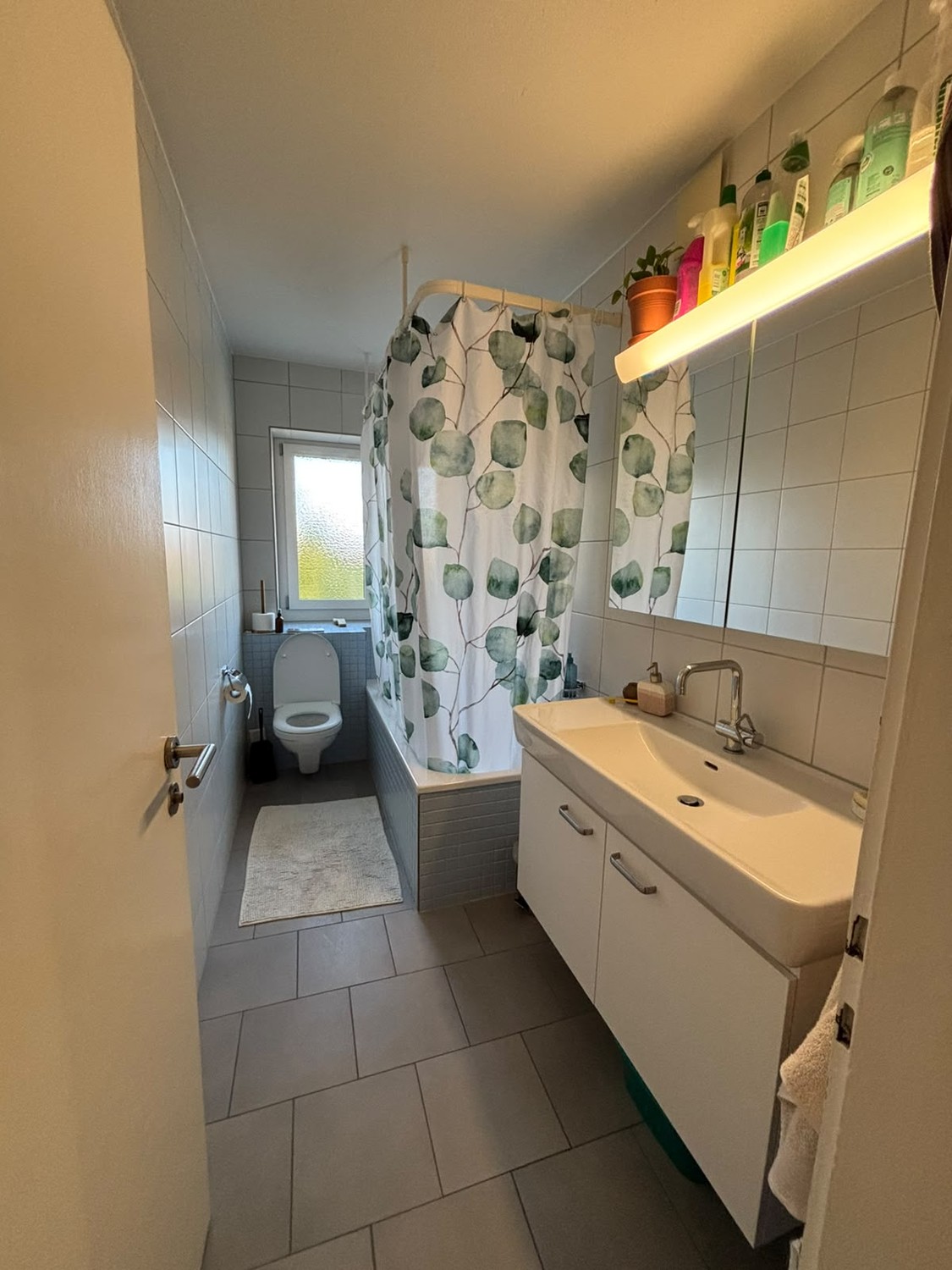 Room in a shared flat