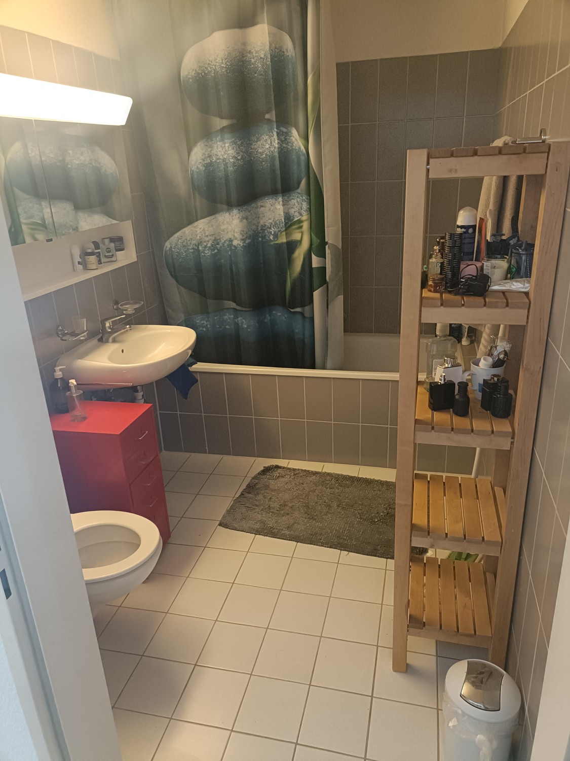 Room in a shared flat