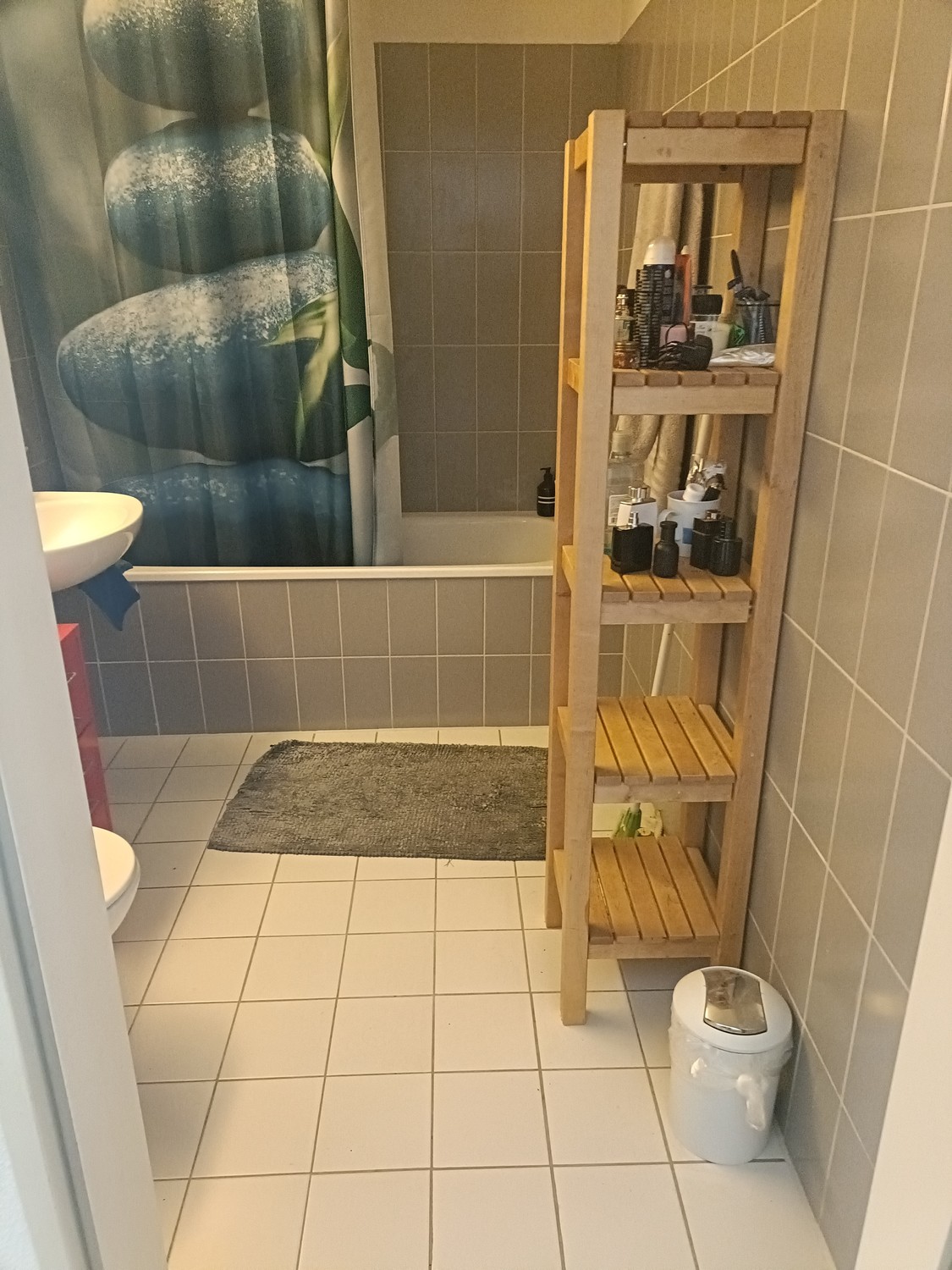 Room in a shared flat